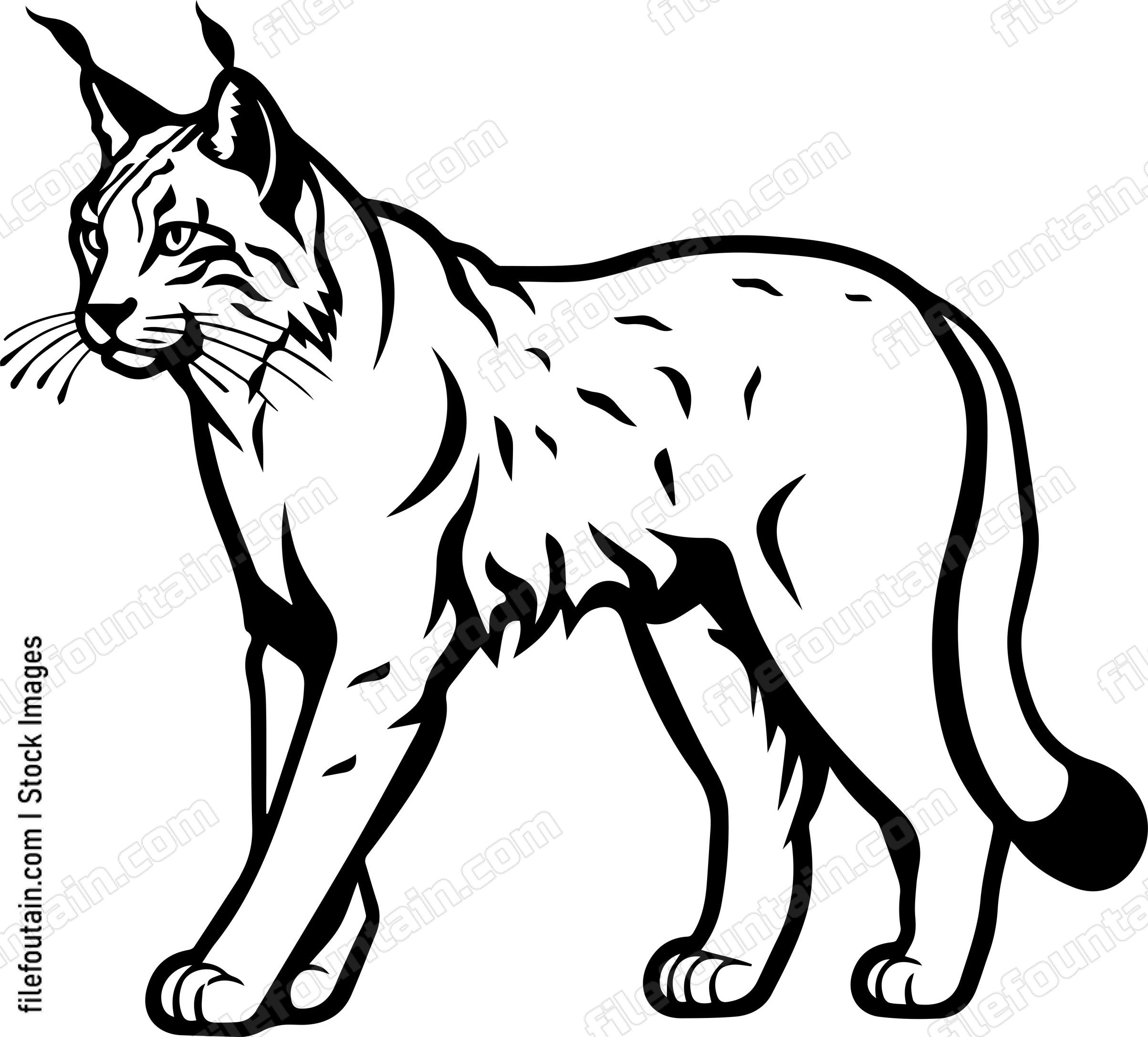 Bobcat