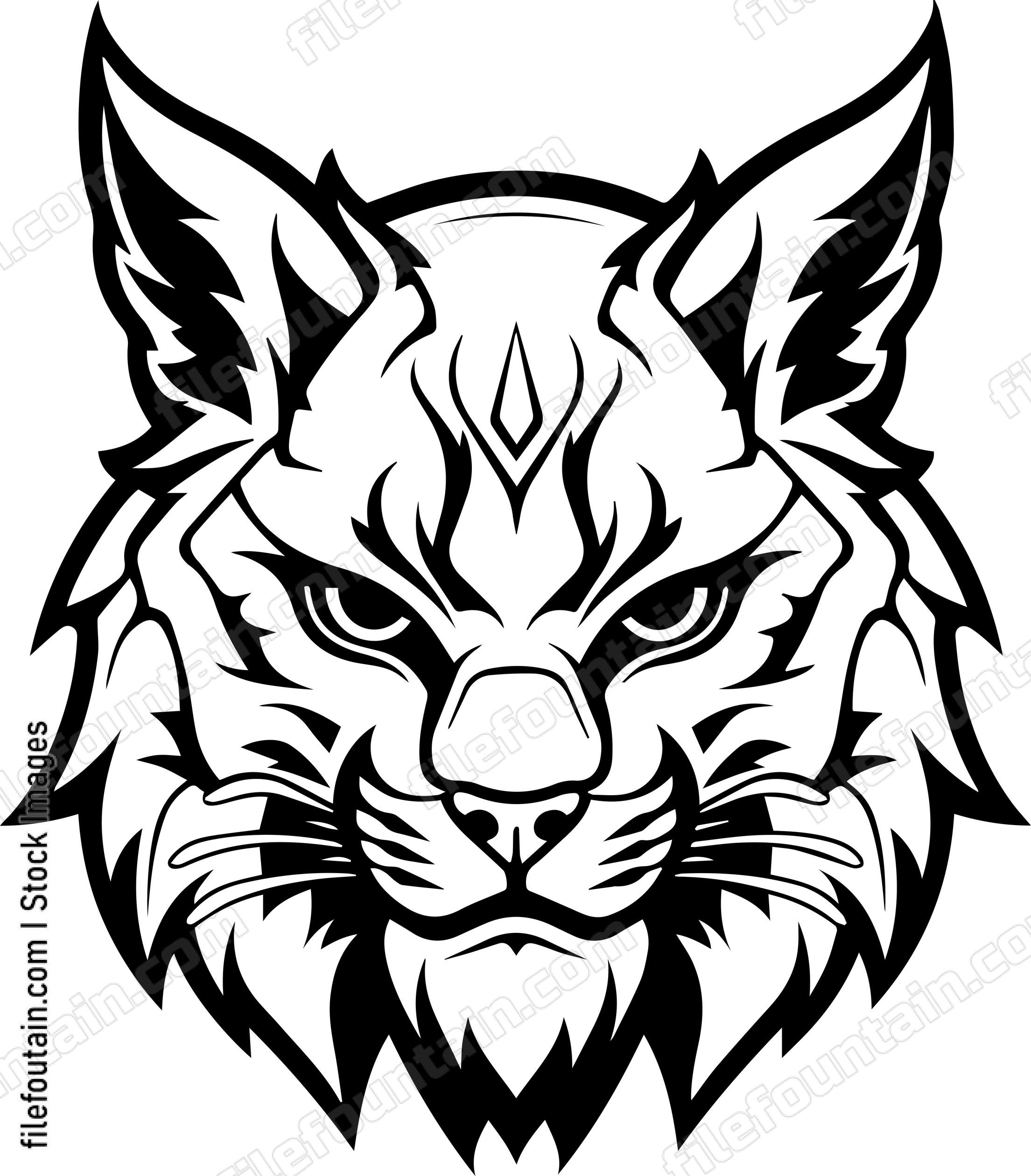 Bobcat