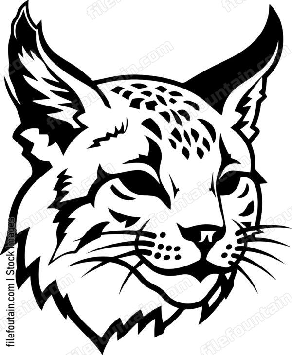 Bobcat