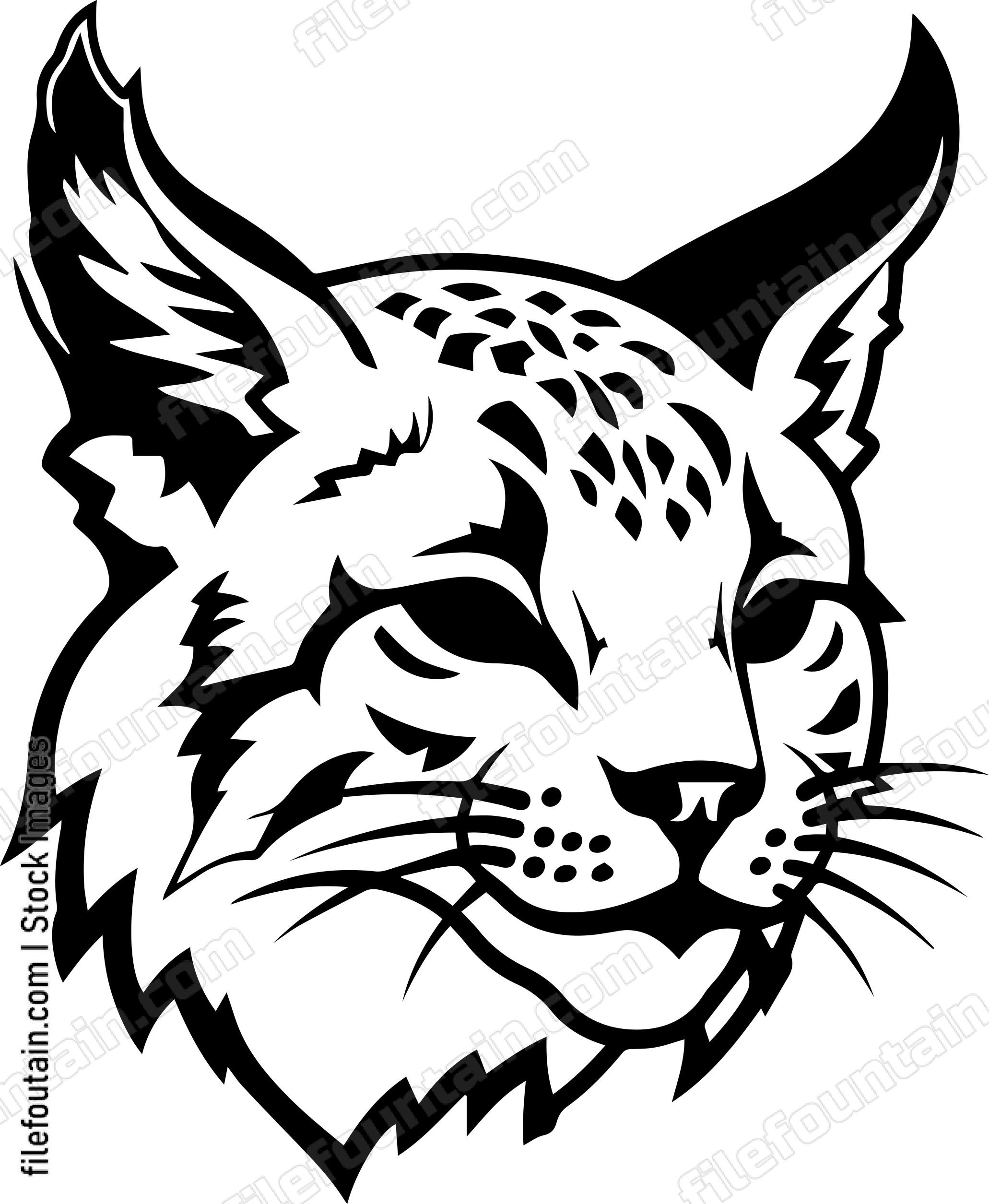 Bobcat