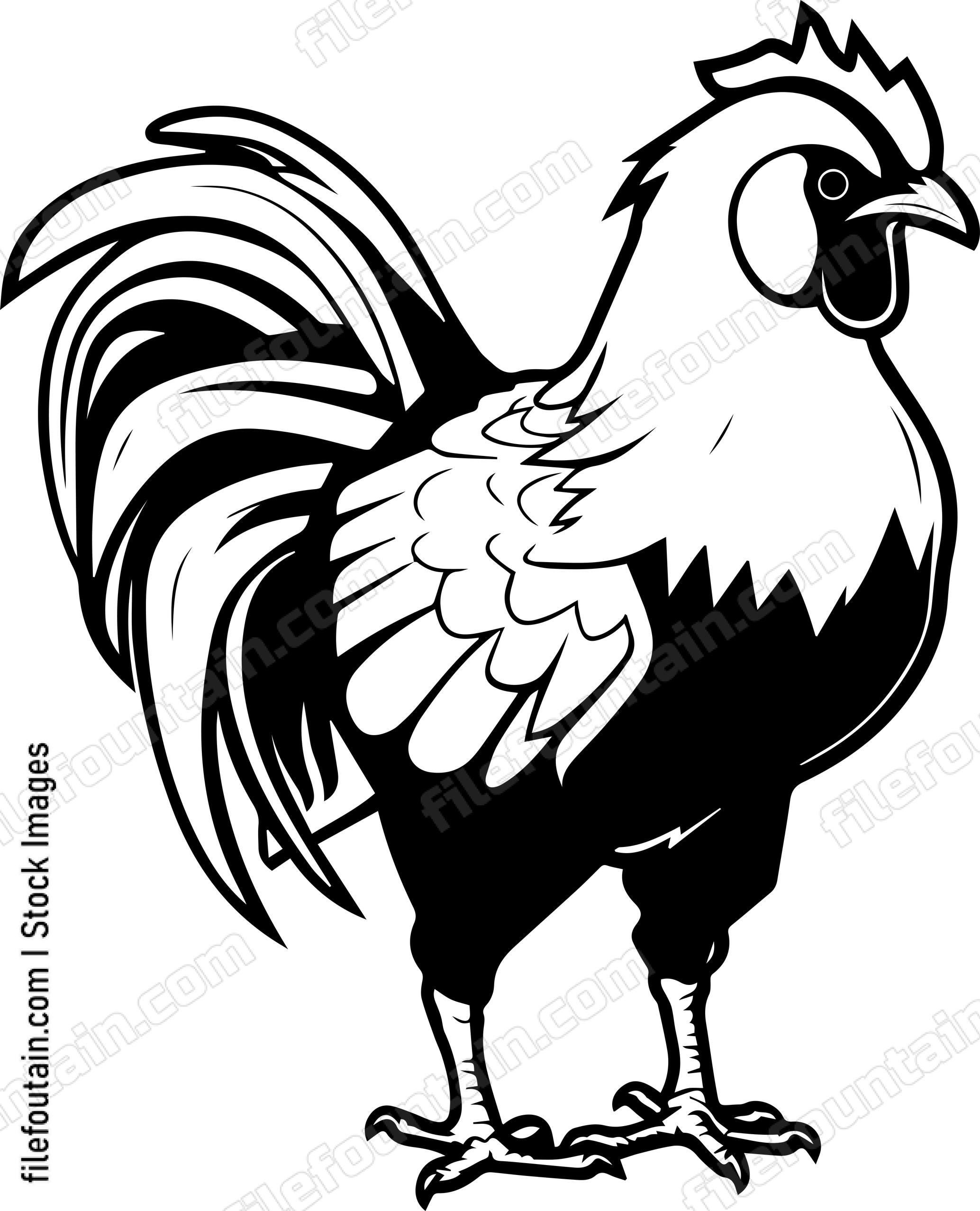 Chicken
