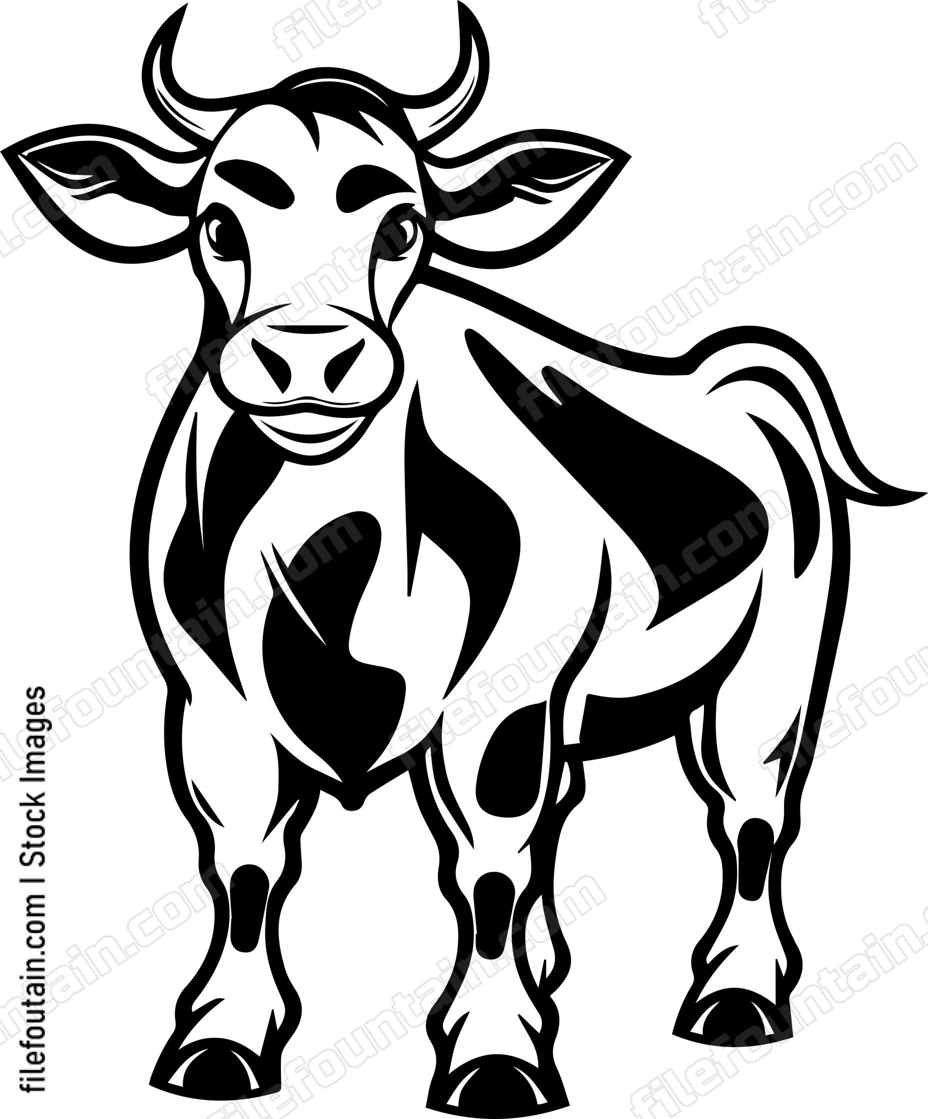 Cow