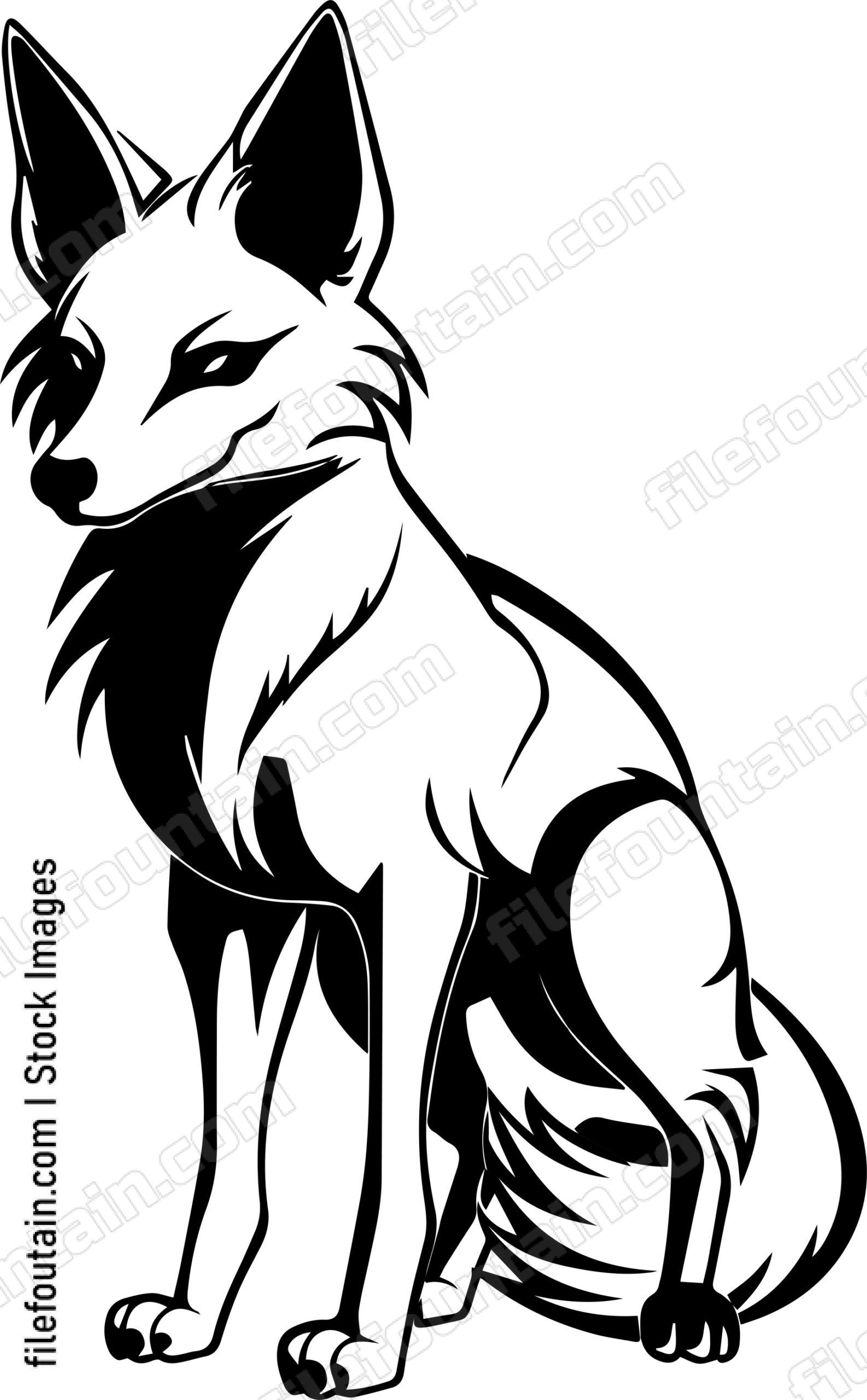 Coyote