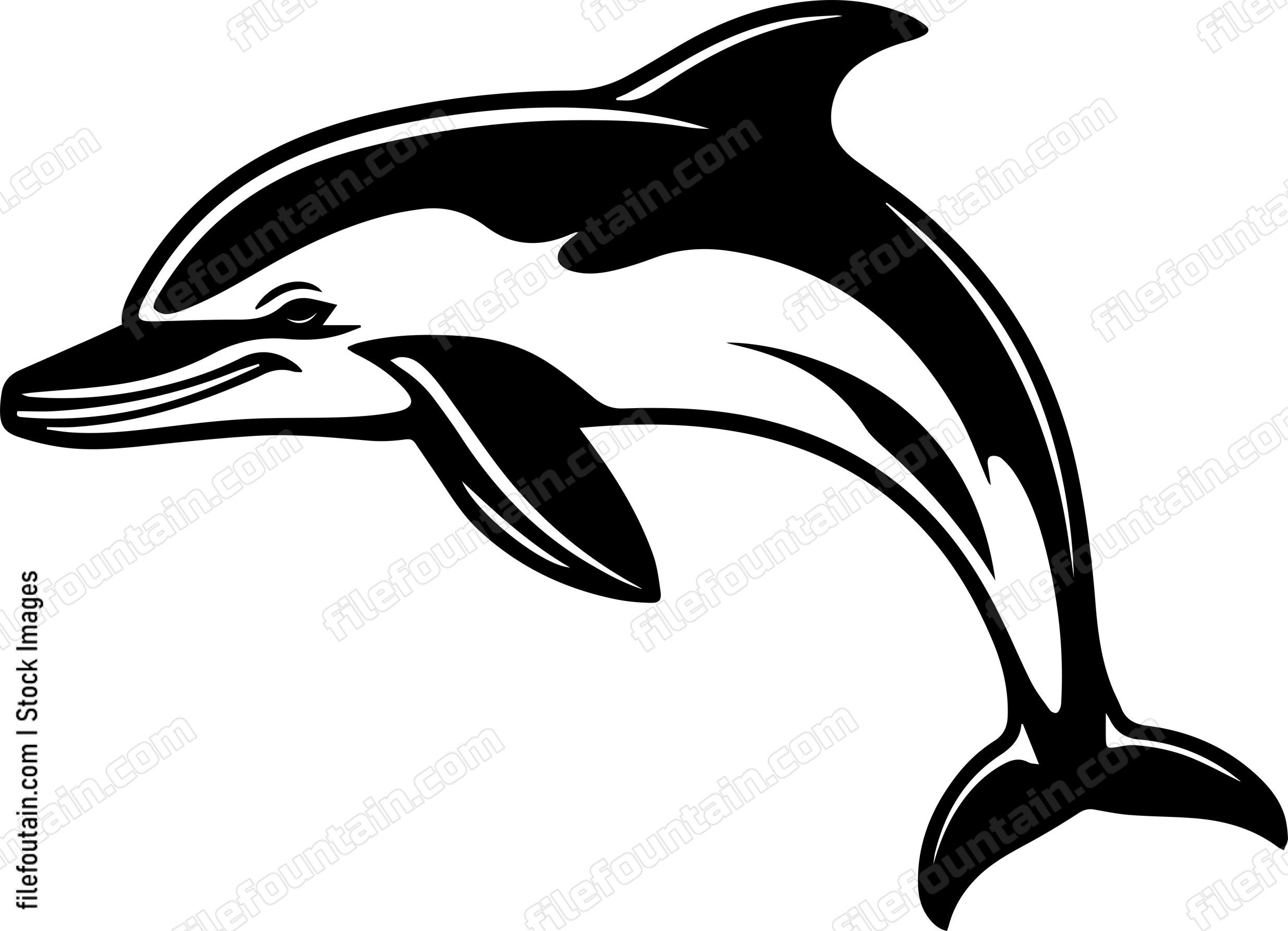 Dolphin
