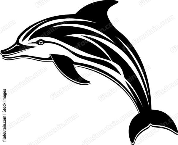Dolphin