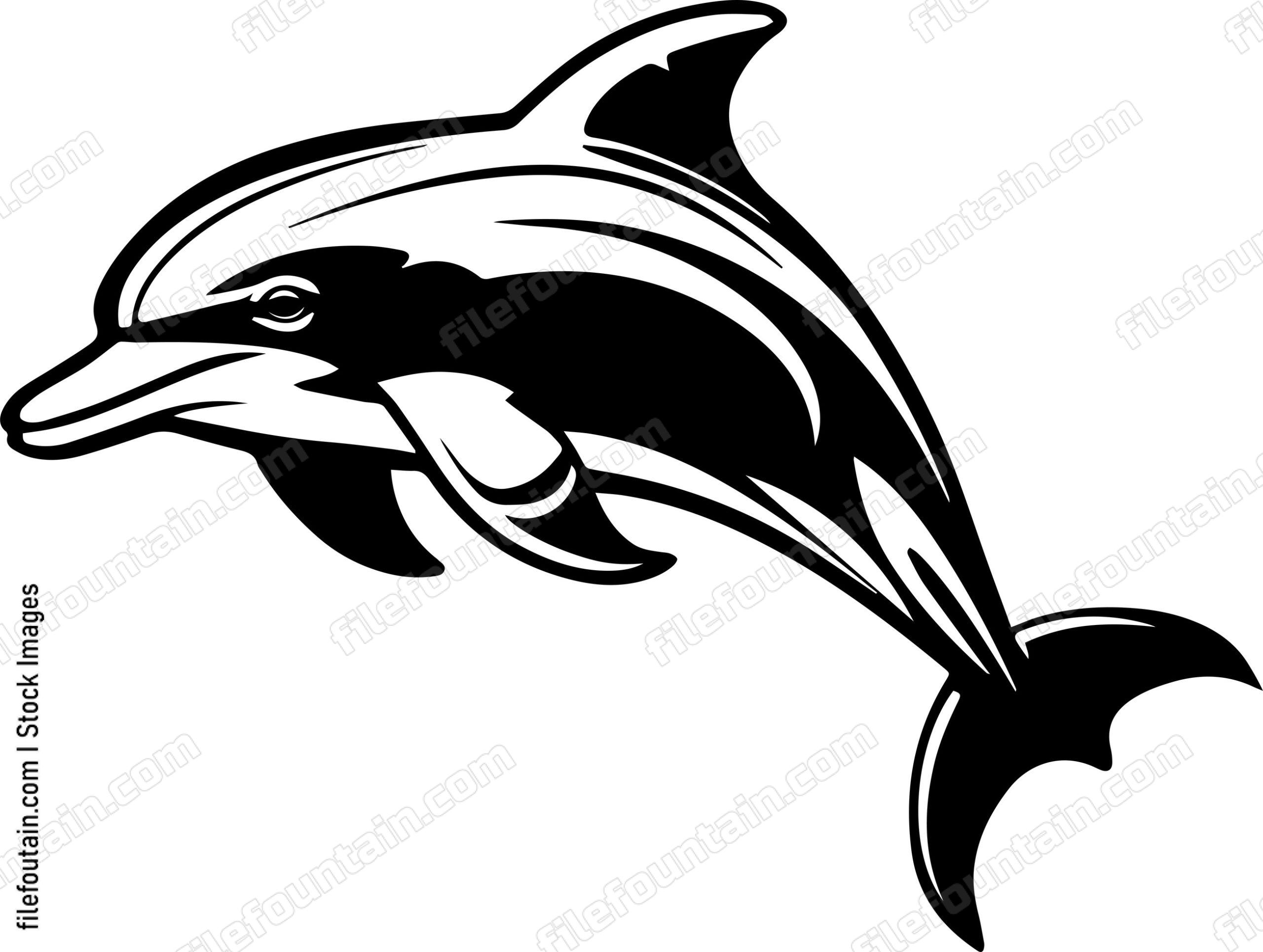 Dolphin