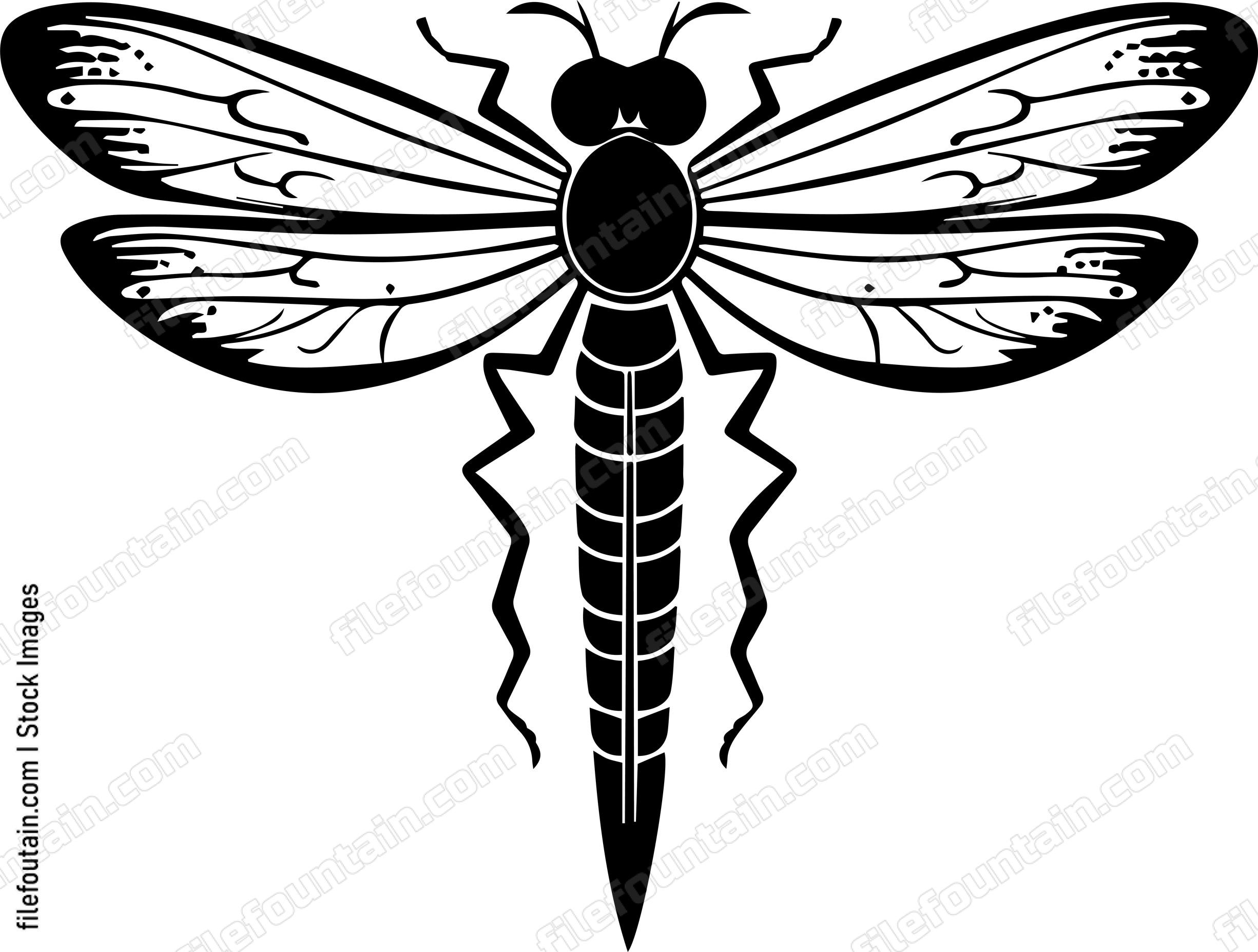 Dragonfly