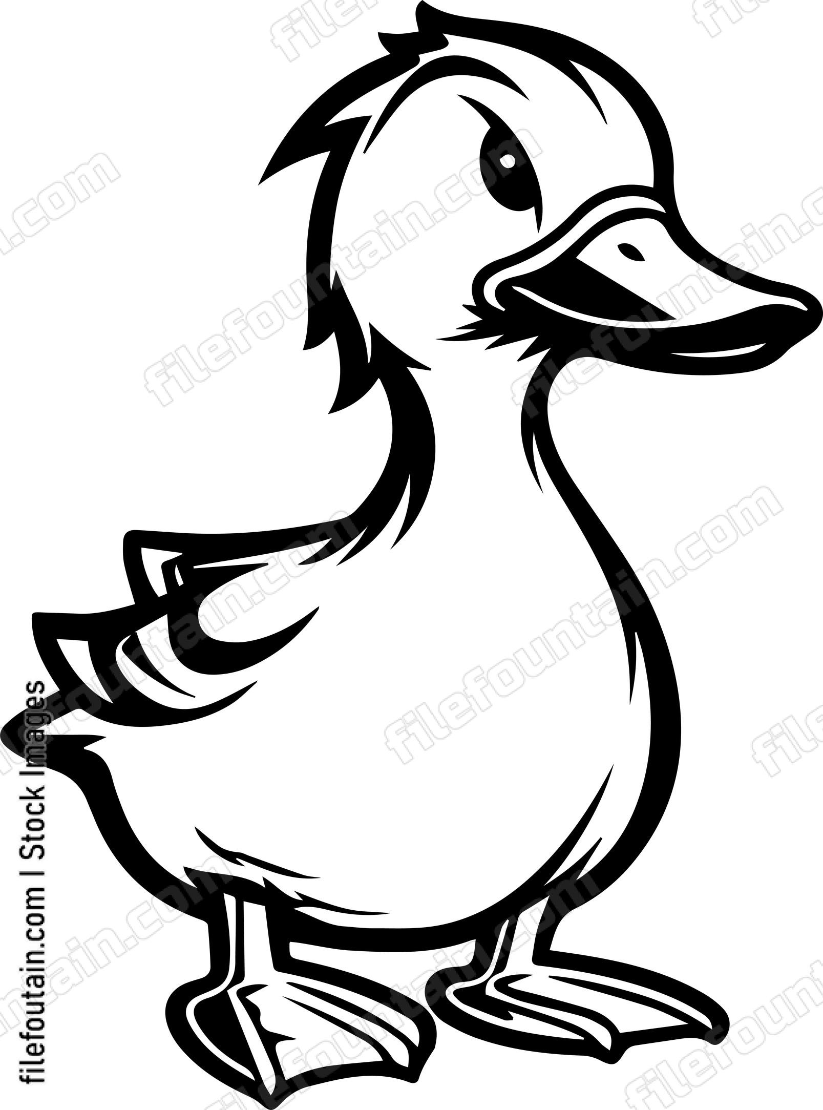 Duck