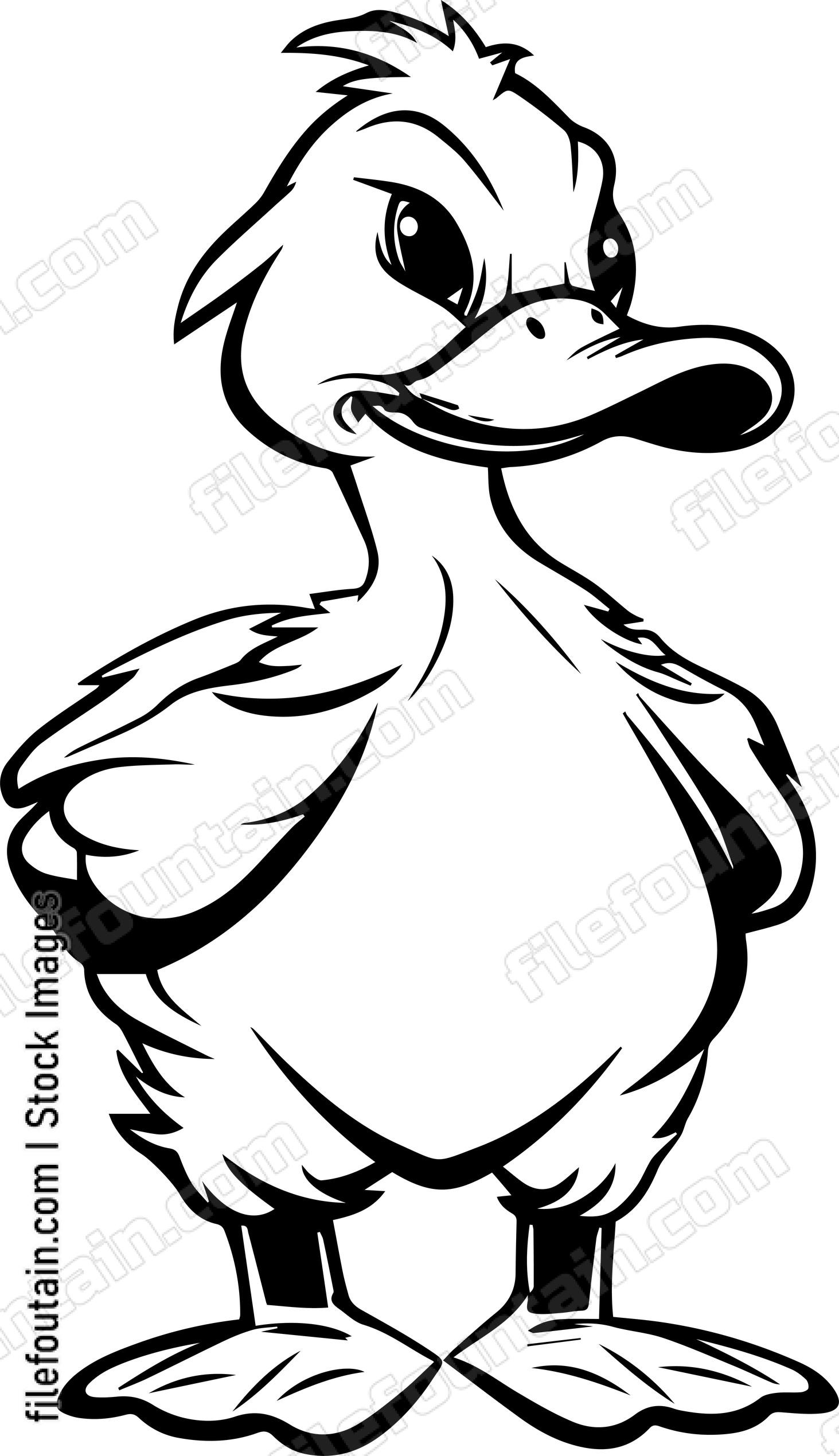 Duck