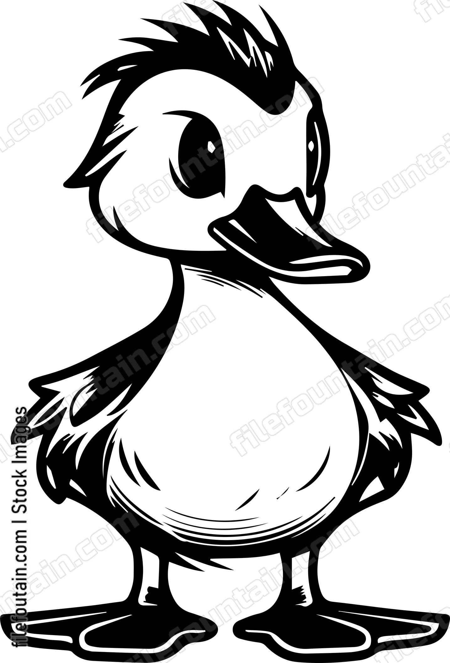 Duck