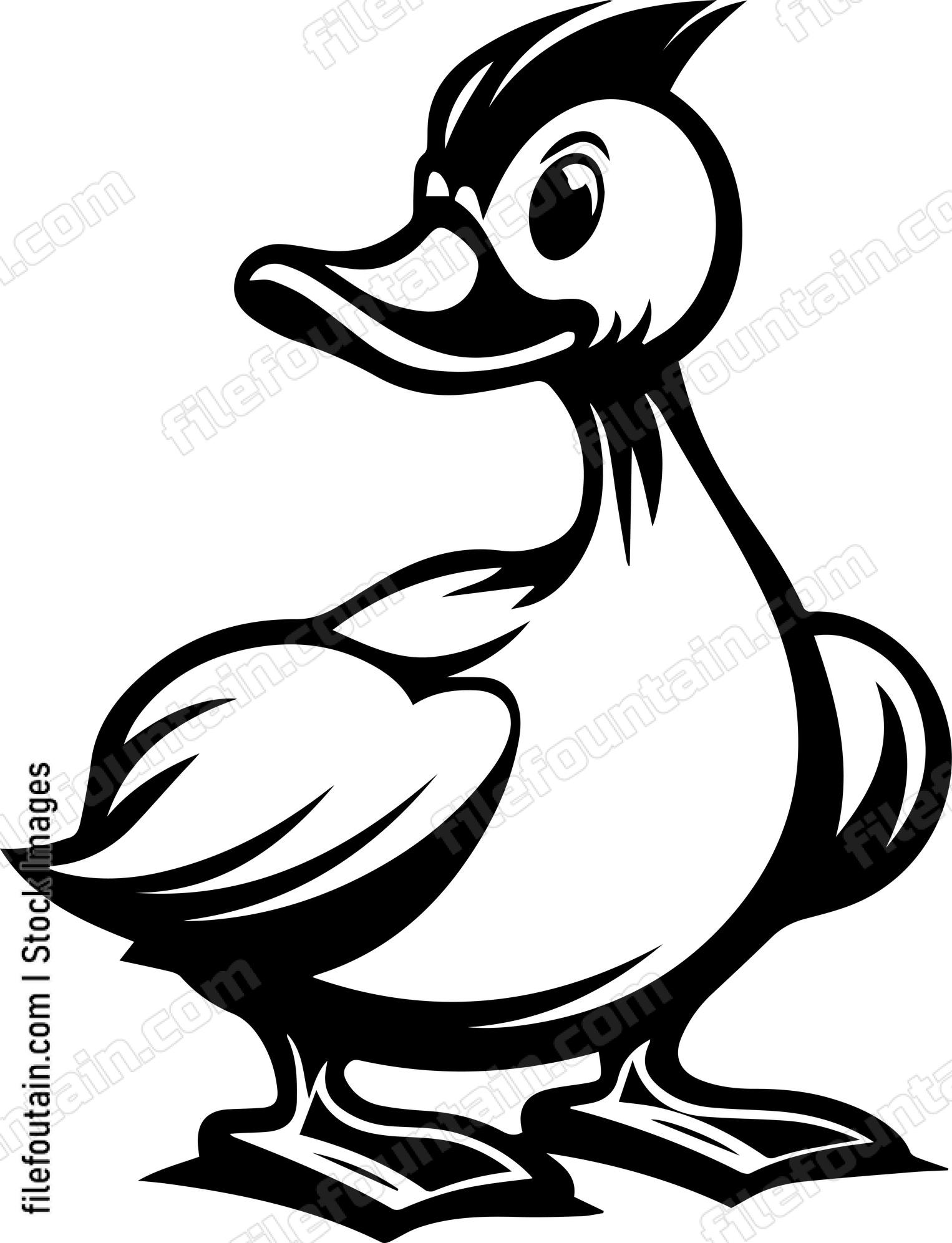 Duck