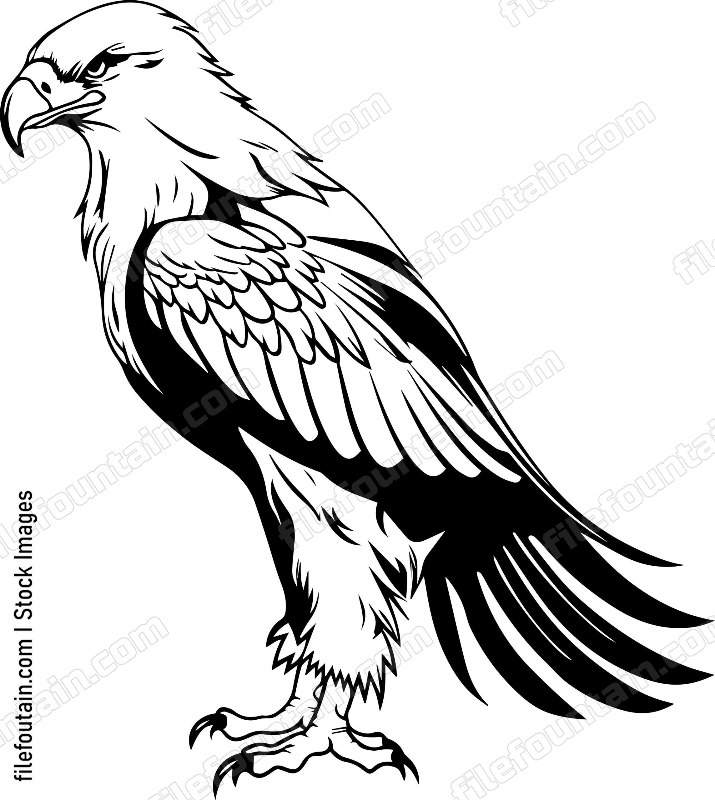 Eagle