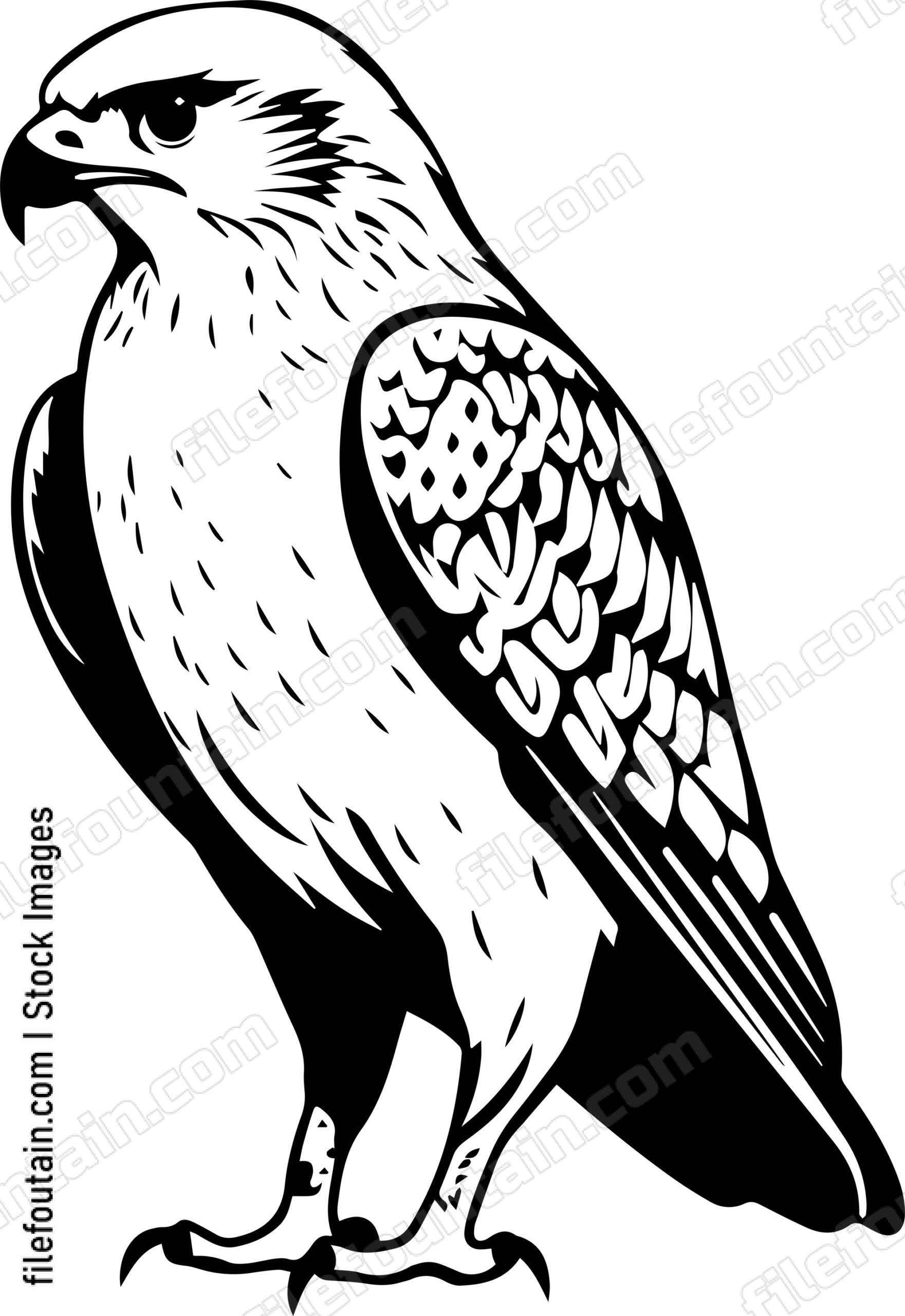 Falcon