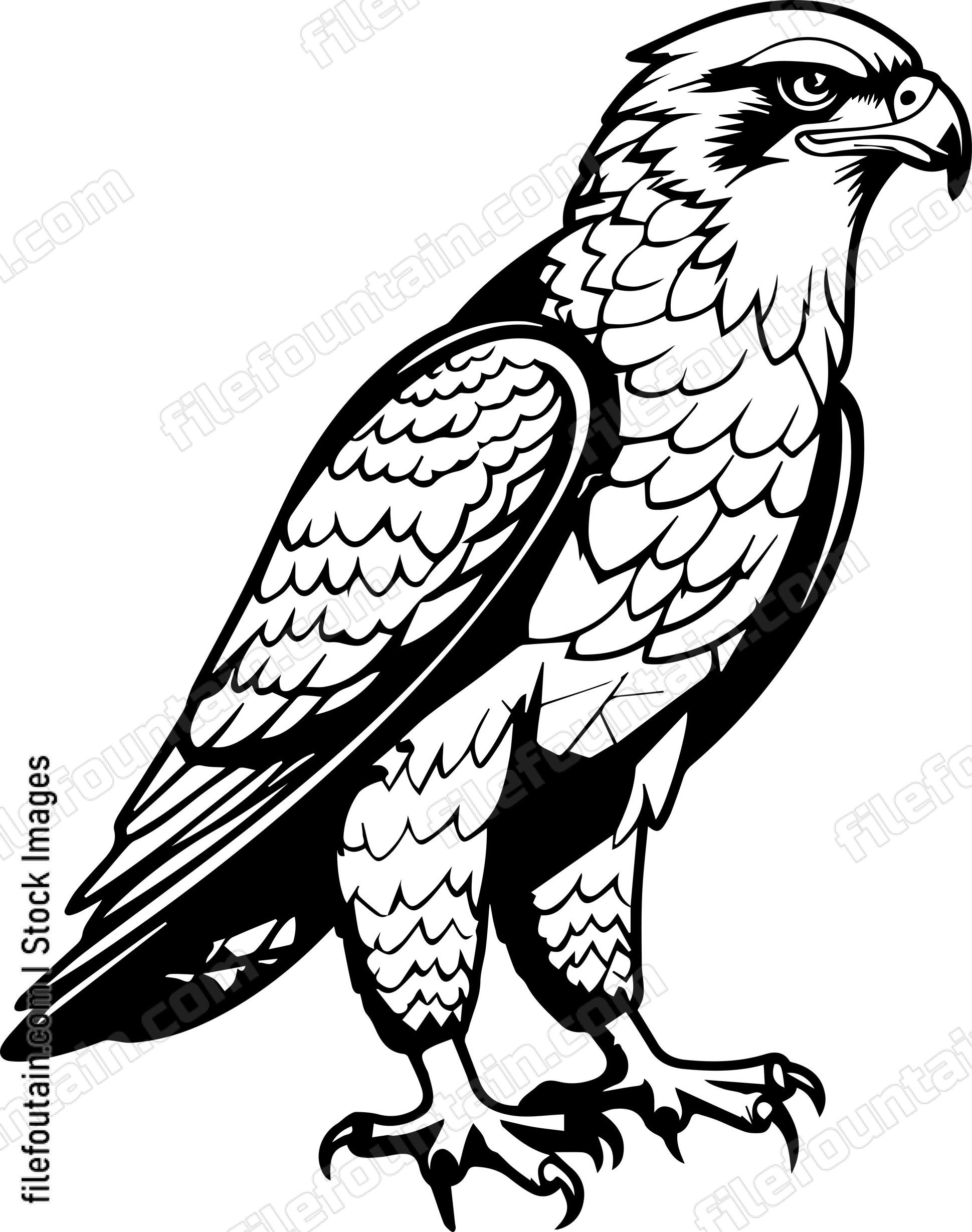 Falcon