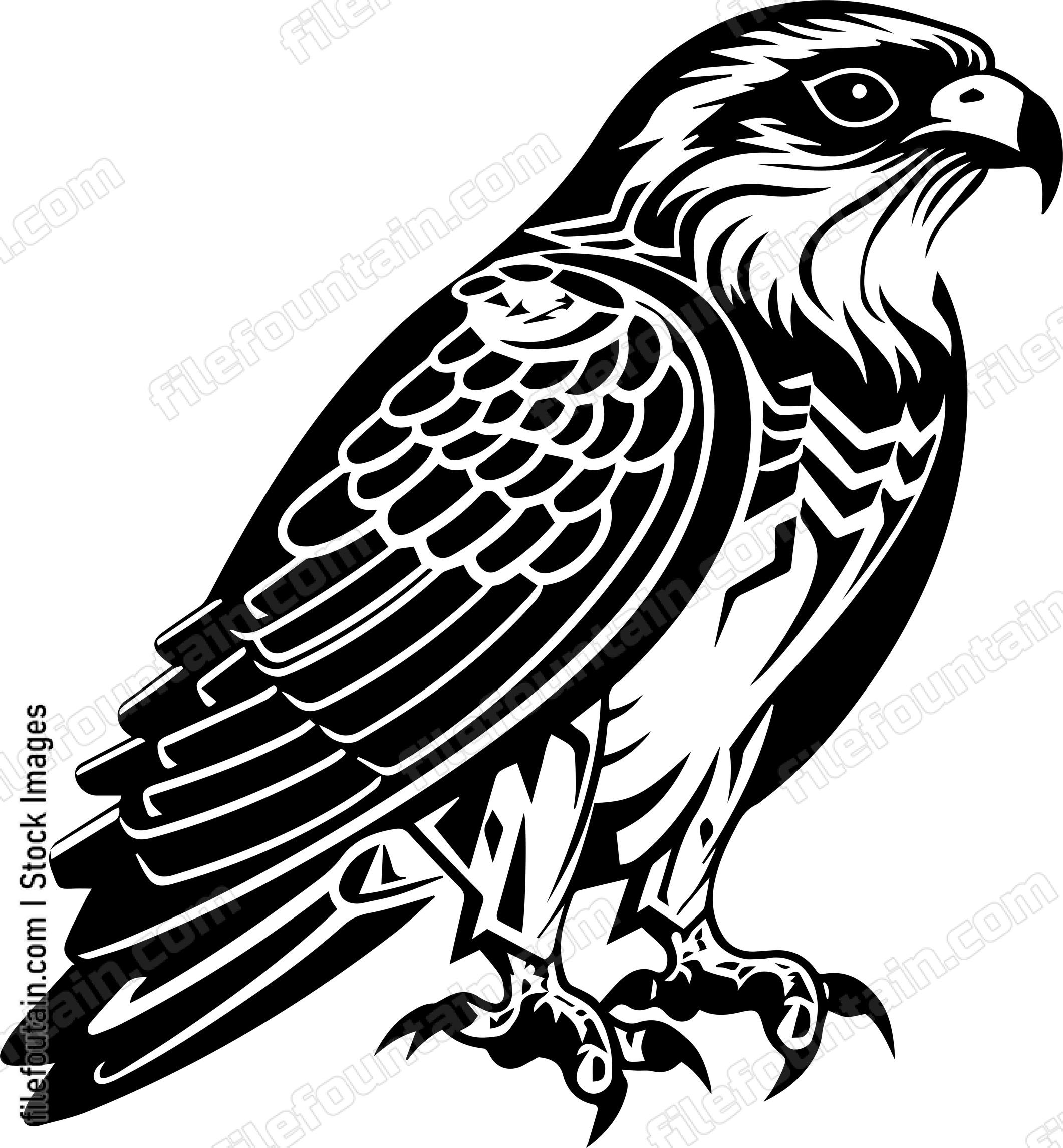 Falcon