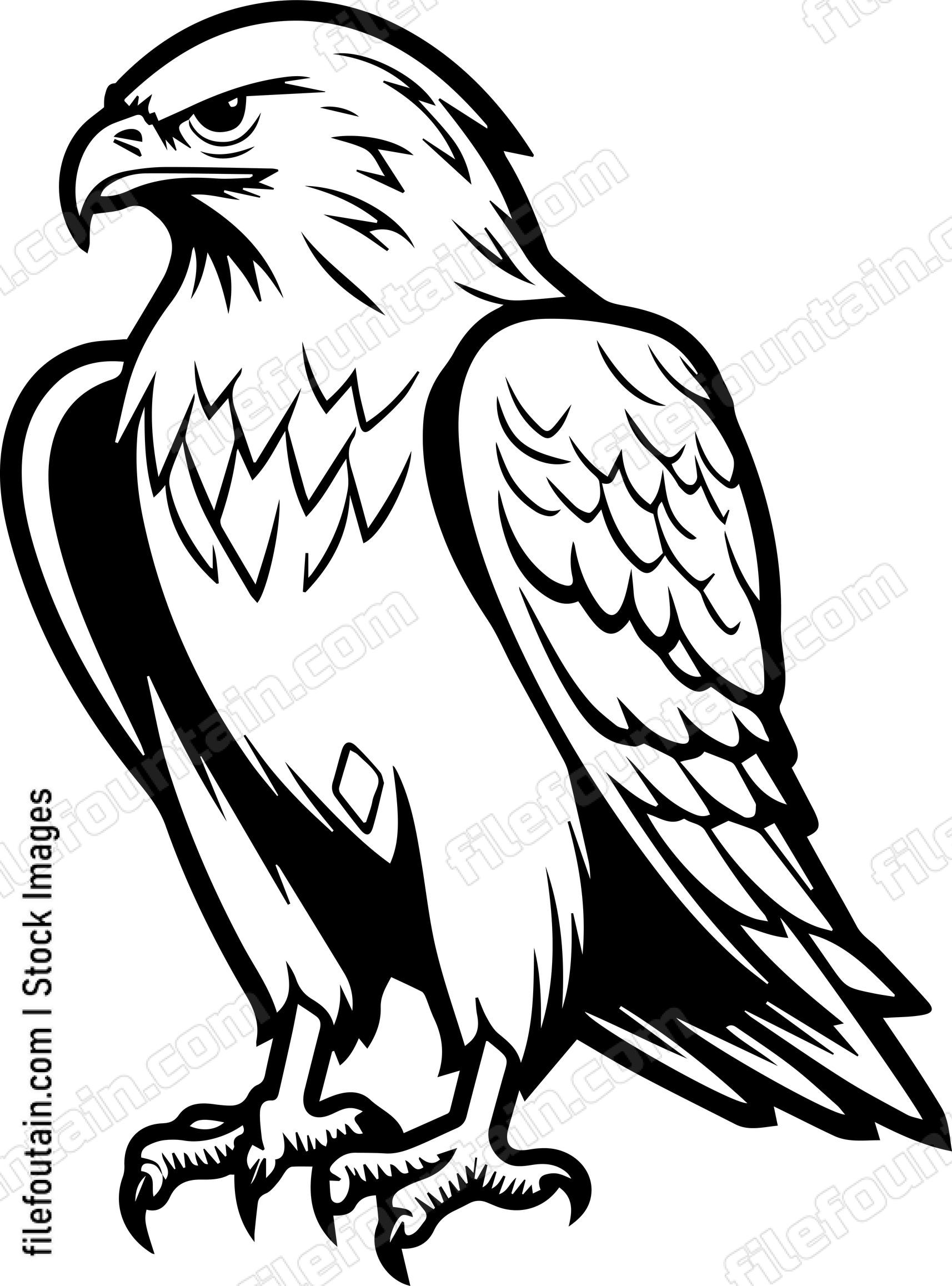 Falcon