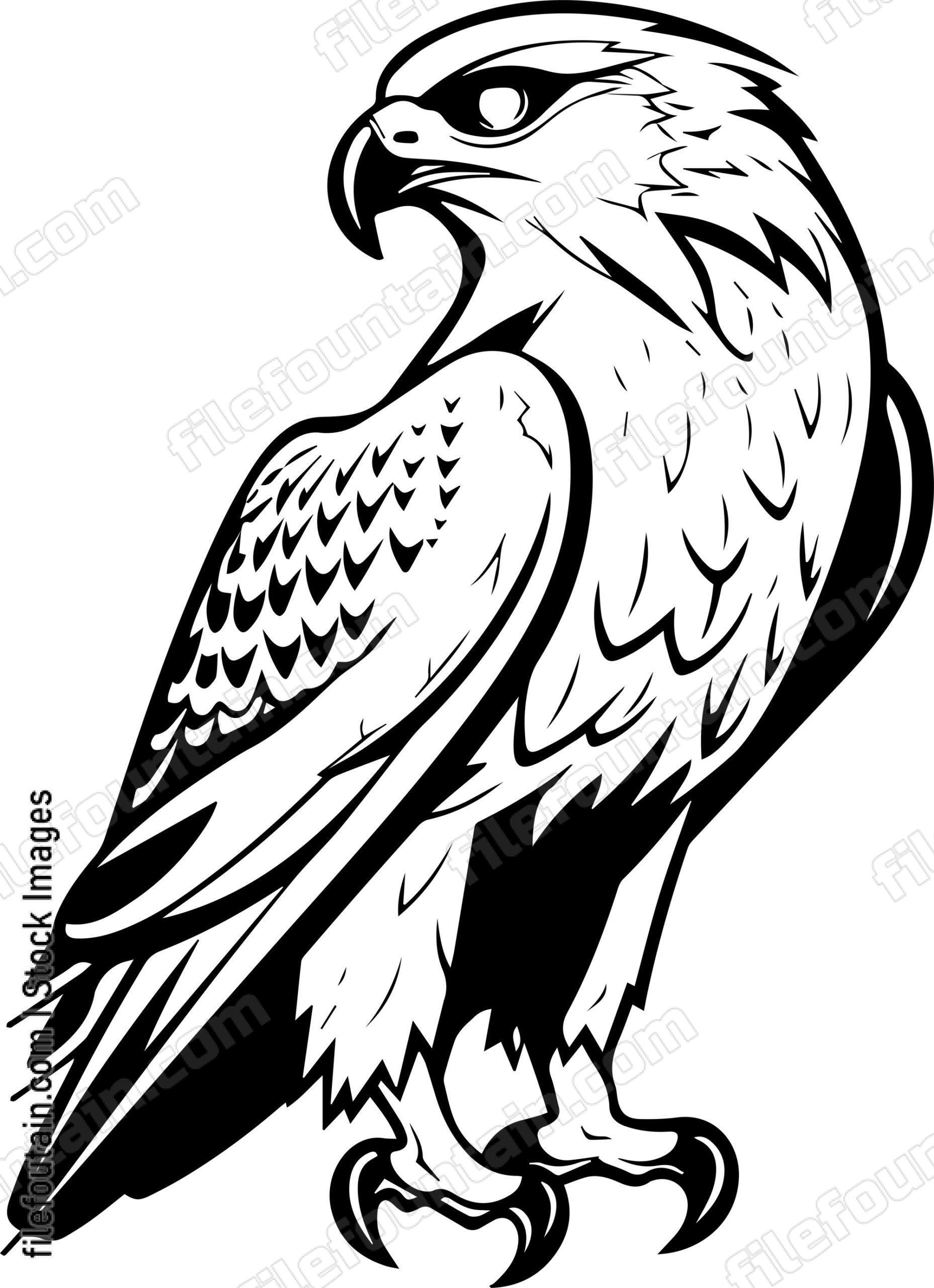 Falcon