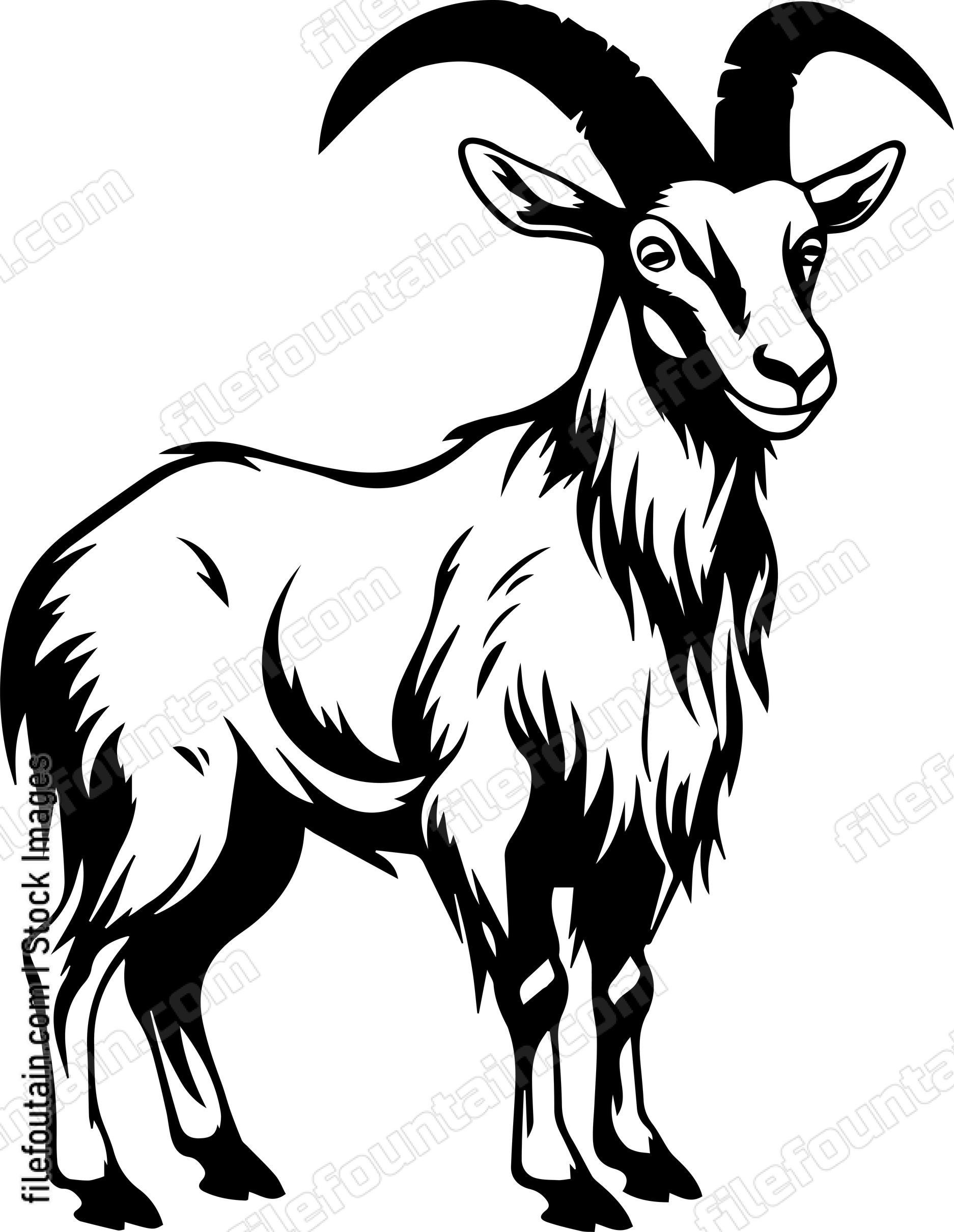 Goat