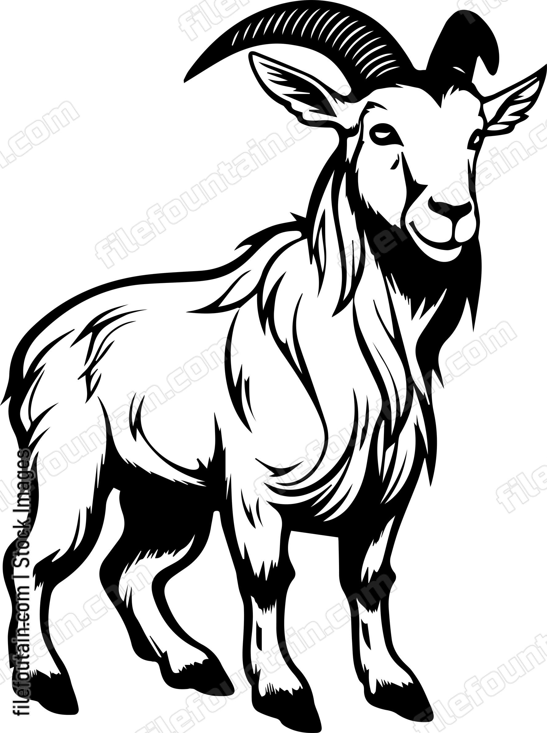Goat