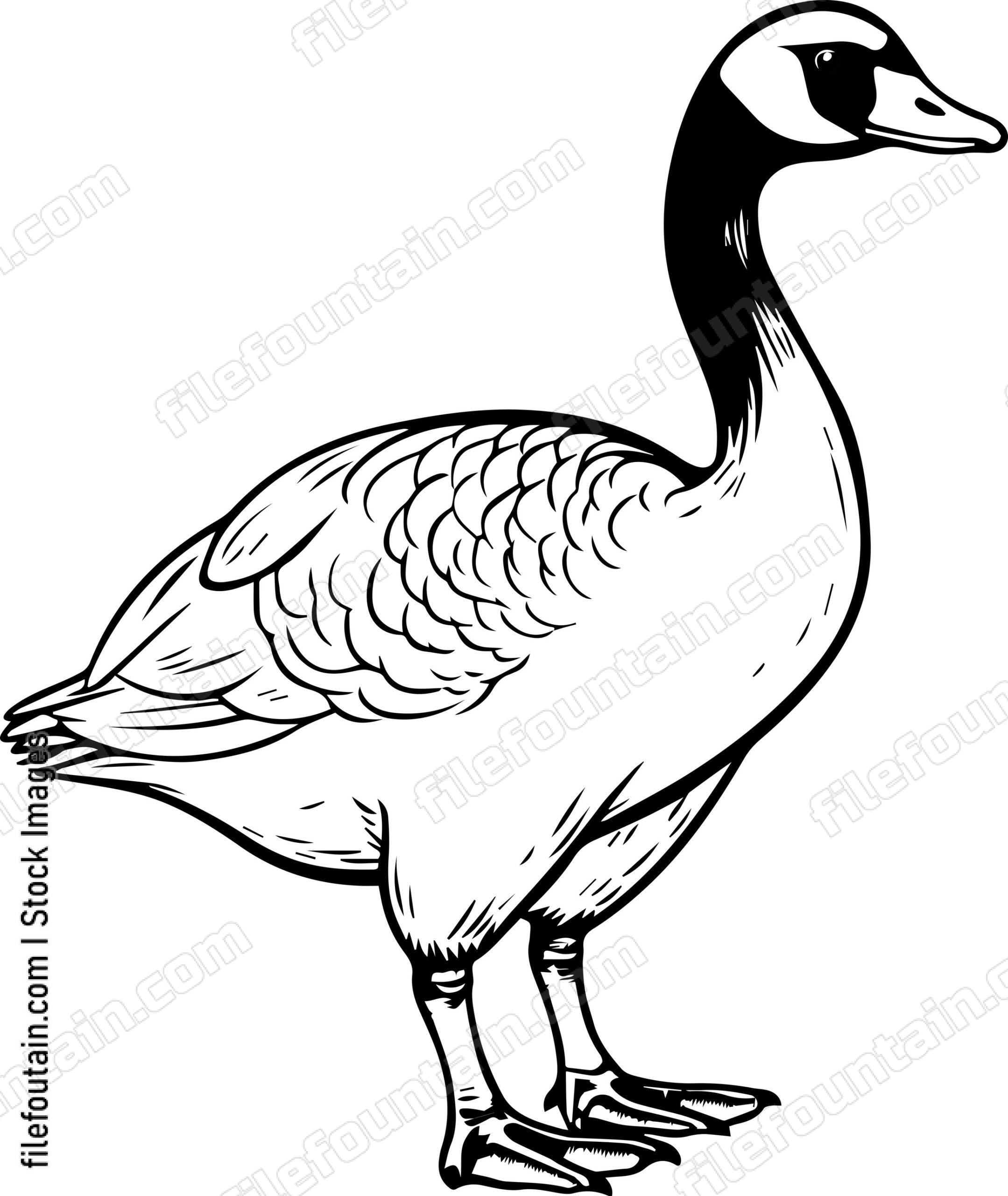 Goose