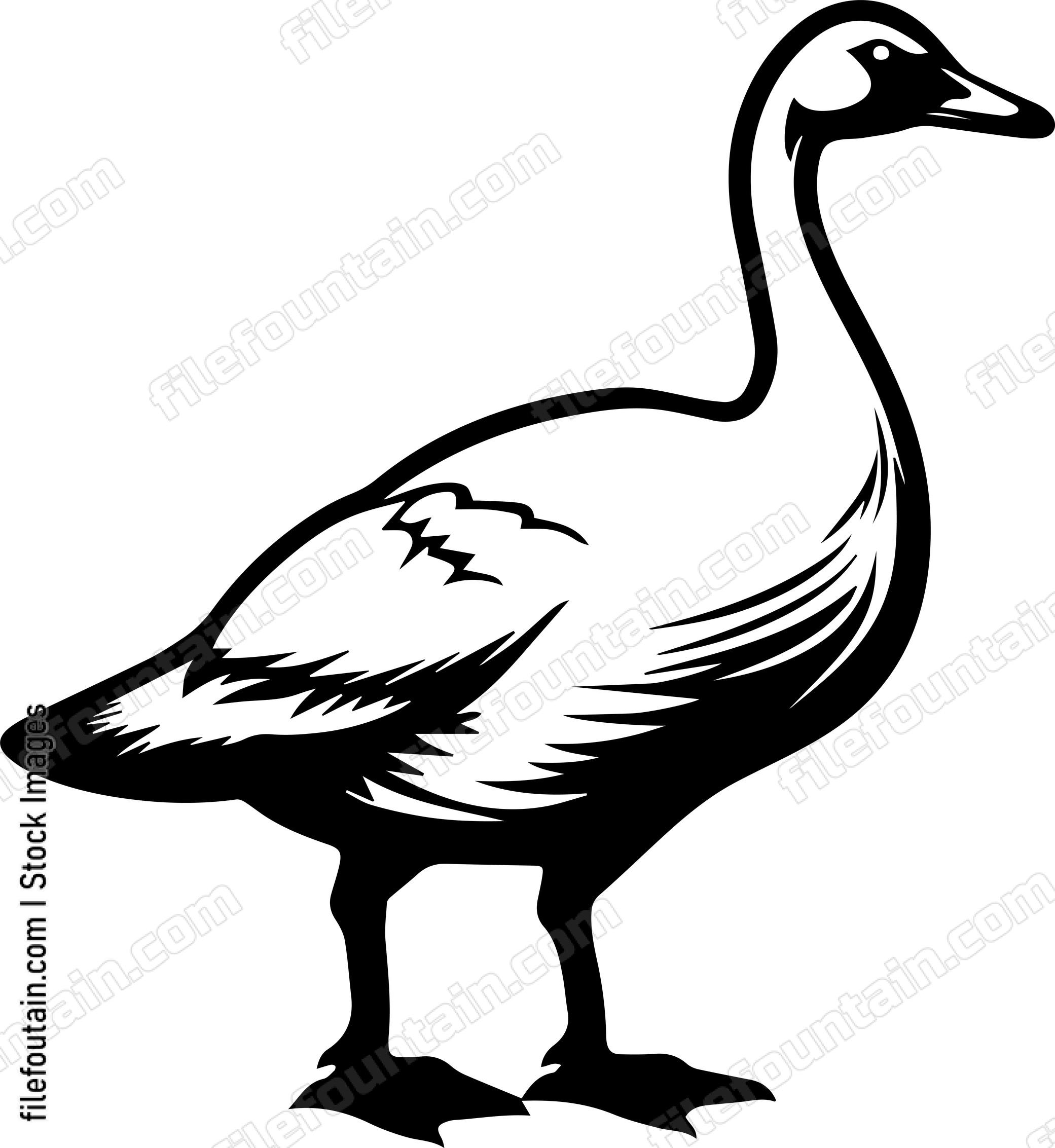 Goose