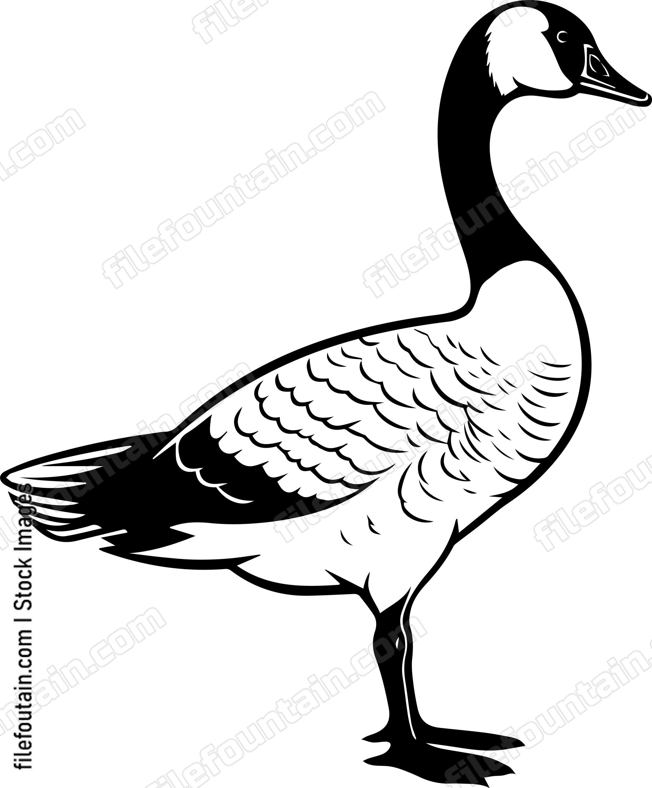 Goose