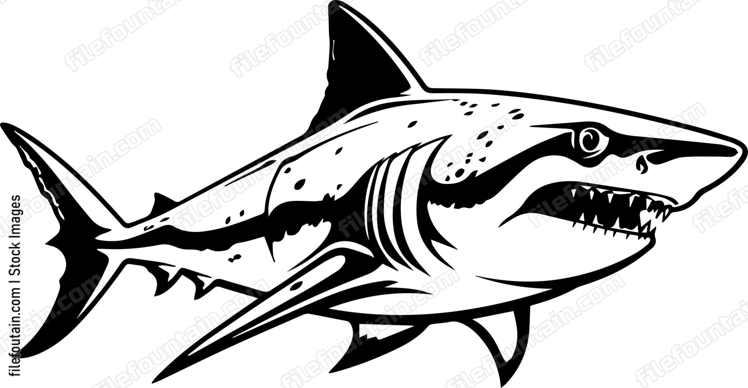 Great White Shark