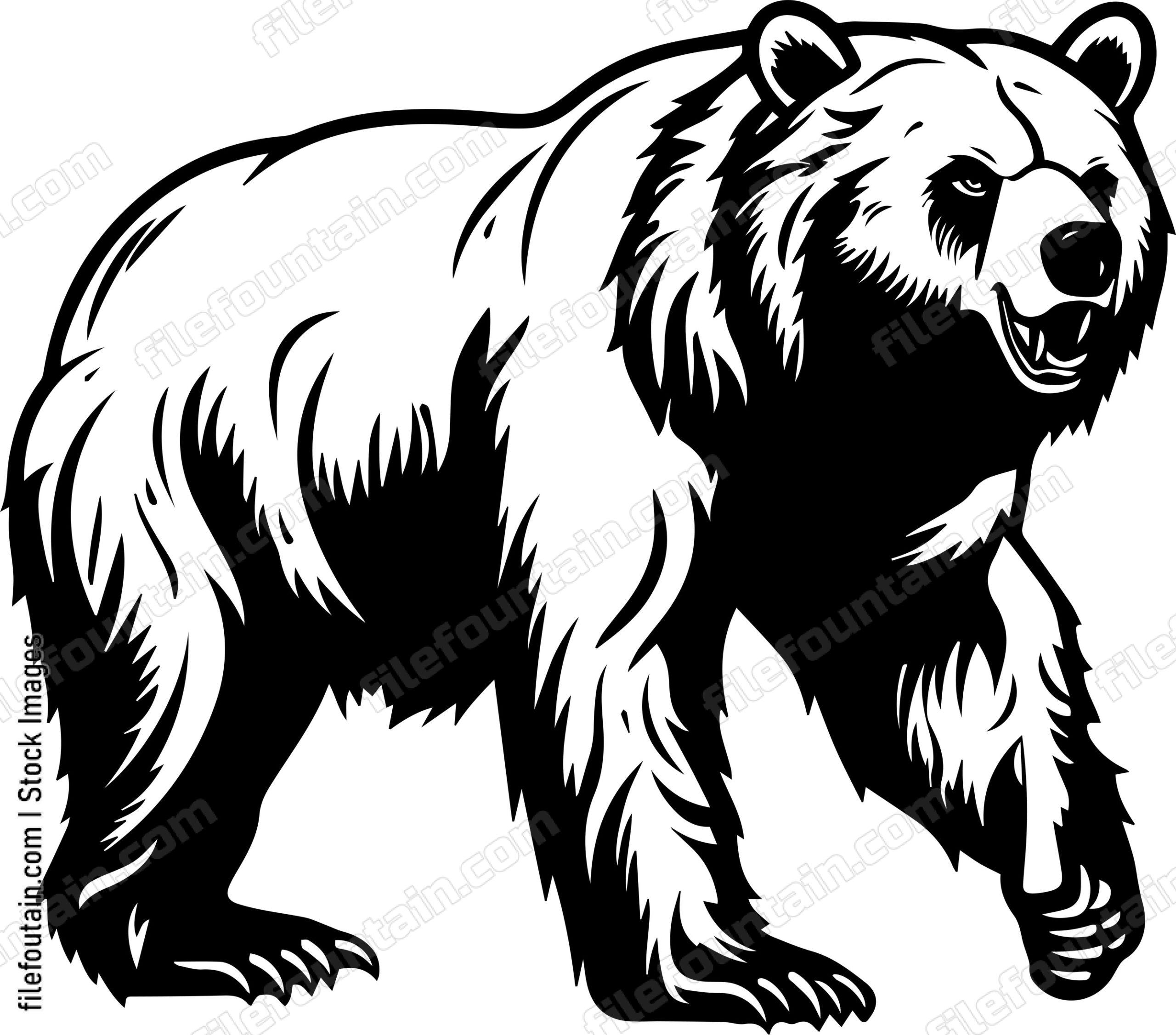Grizzly Bear