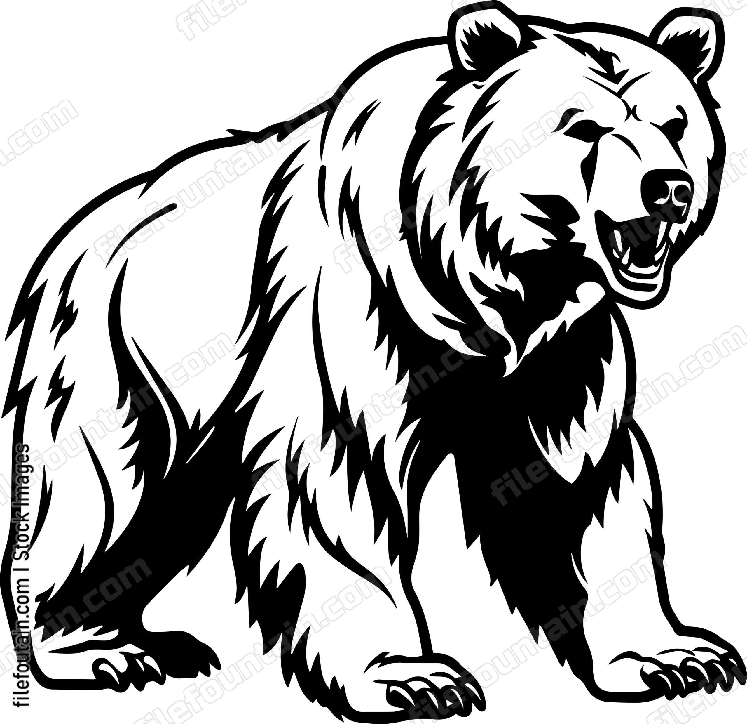 Grizzly Bear