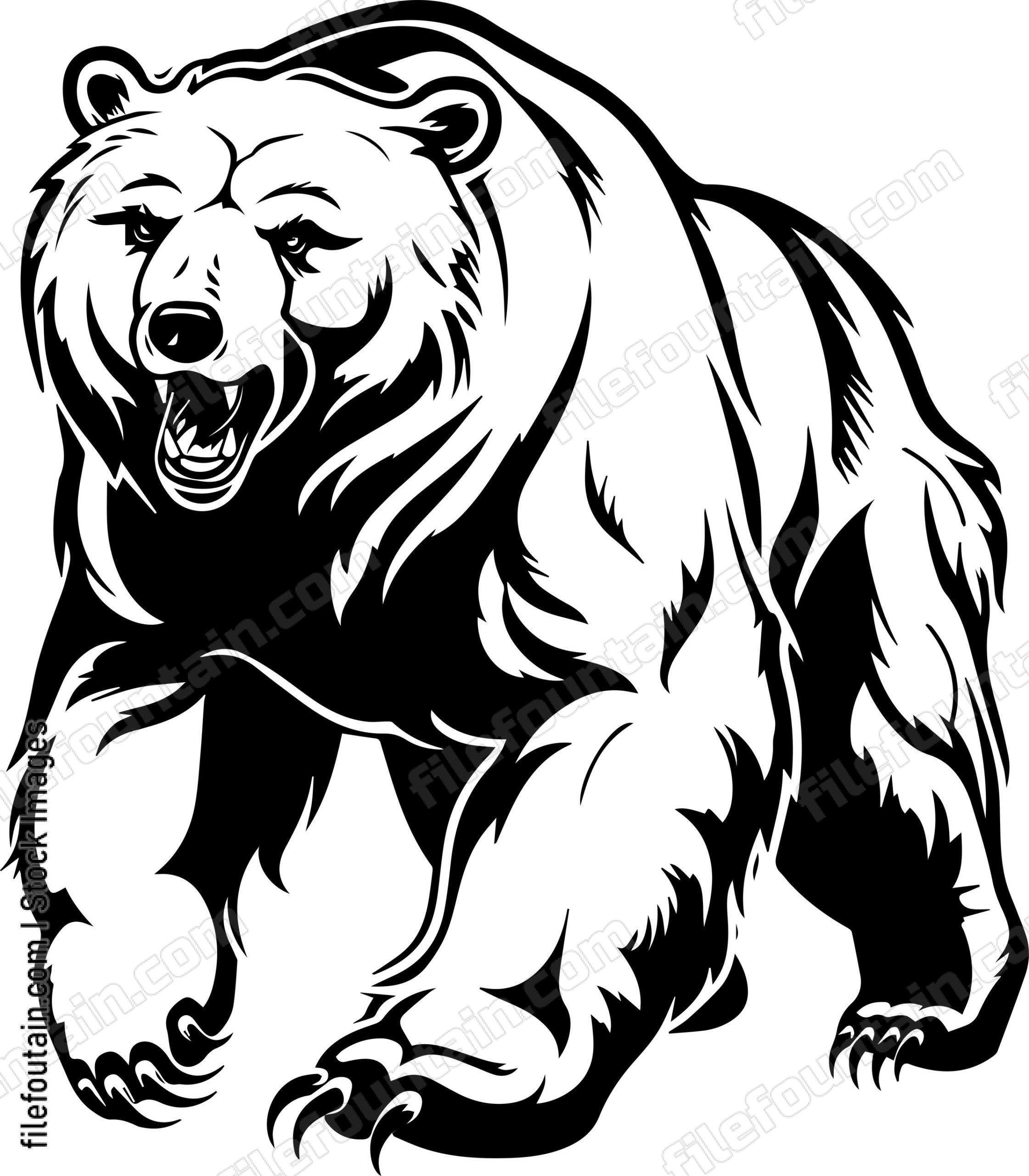 Grizzly Bear