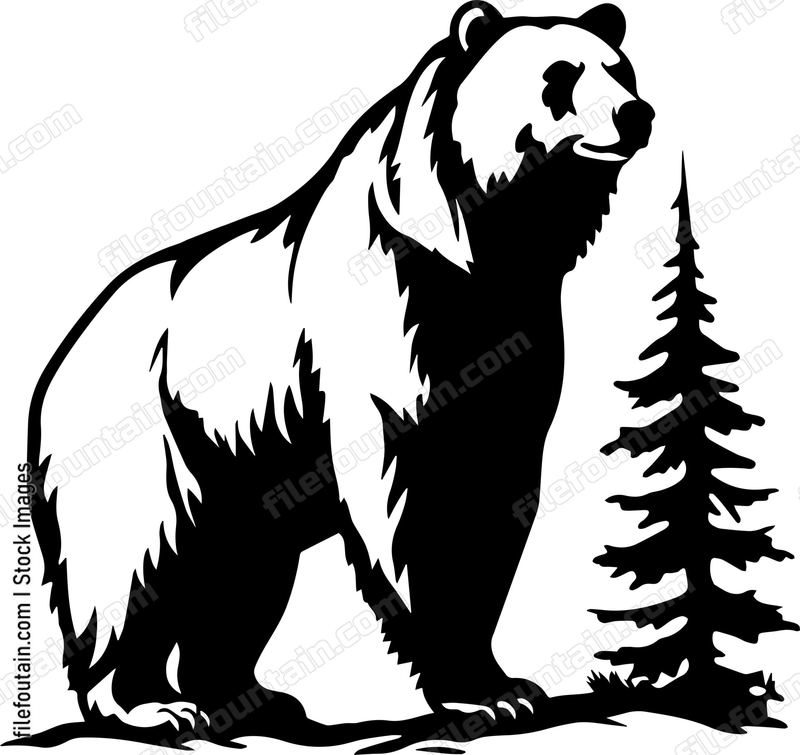 Grizzly Bear In A Forest