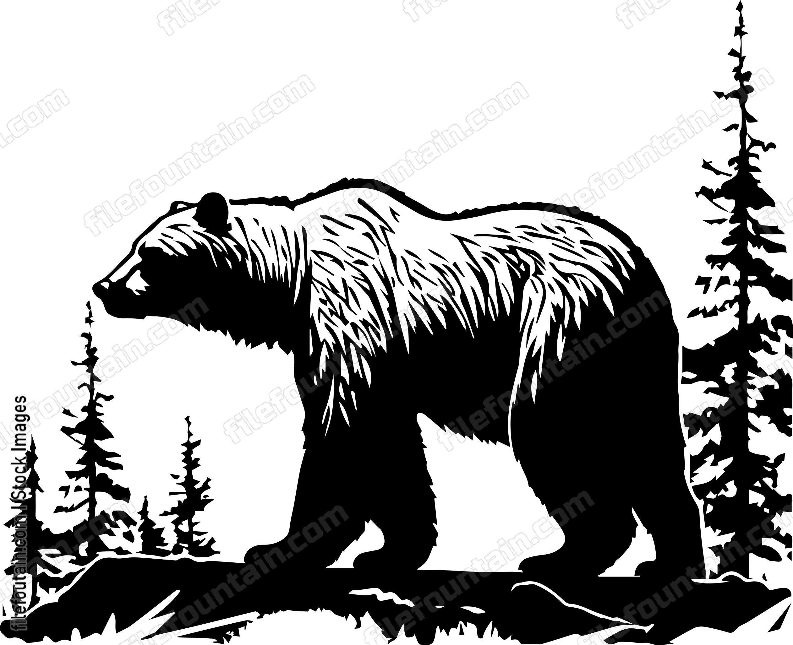 Grizzly Bear In A Forest