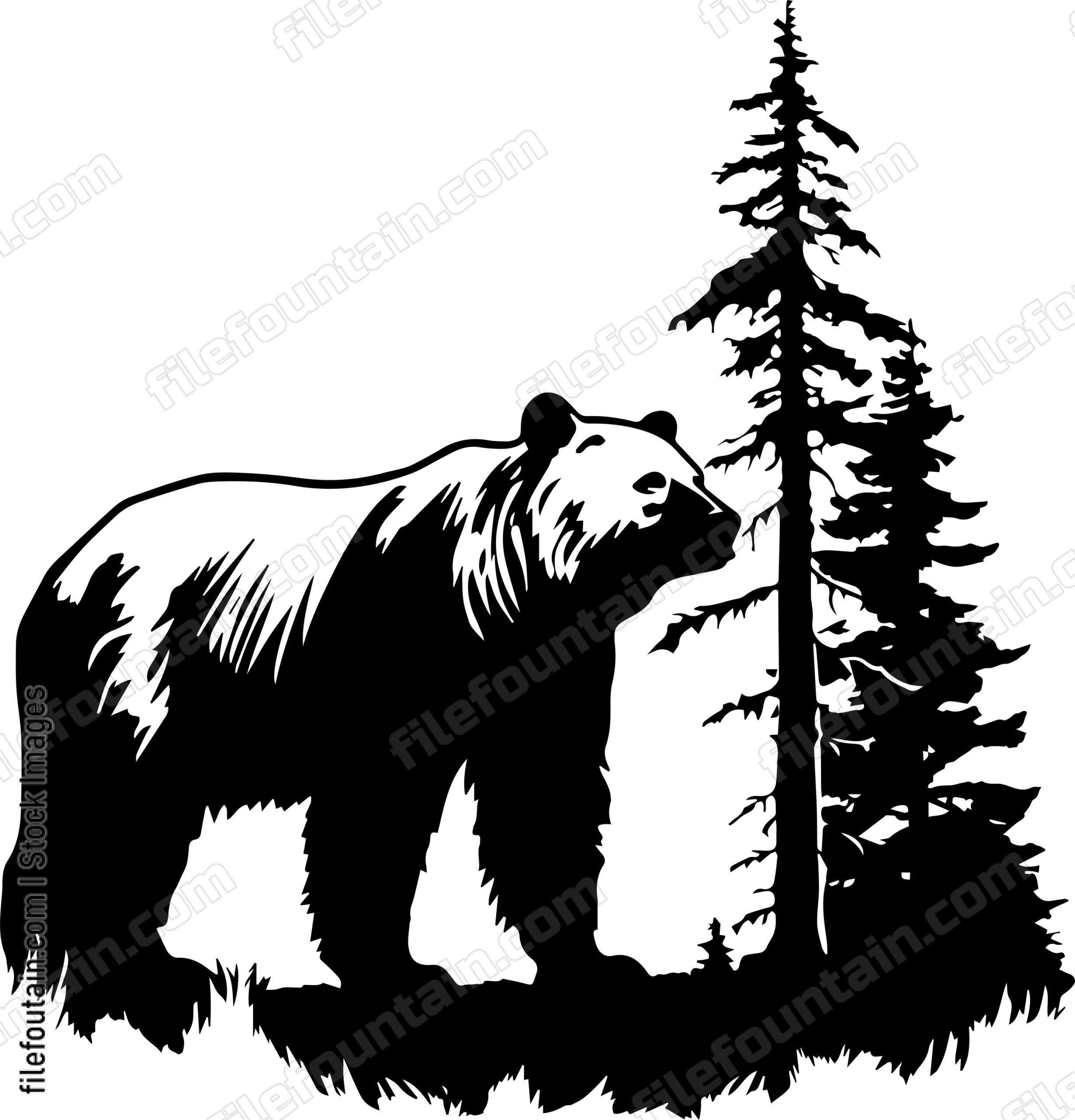 Grizzly Bear In A Forest