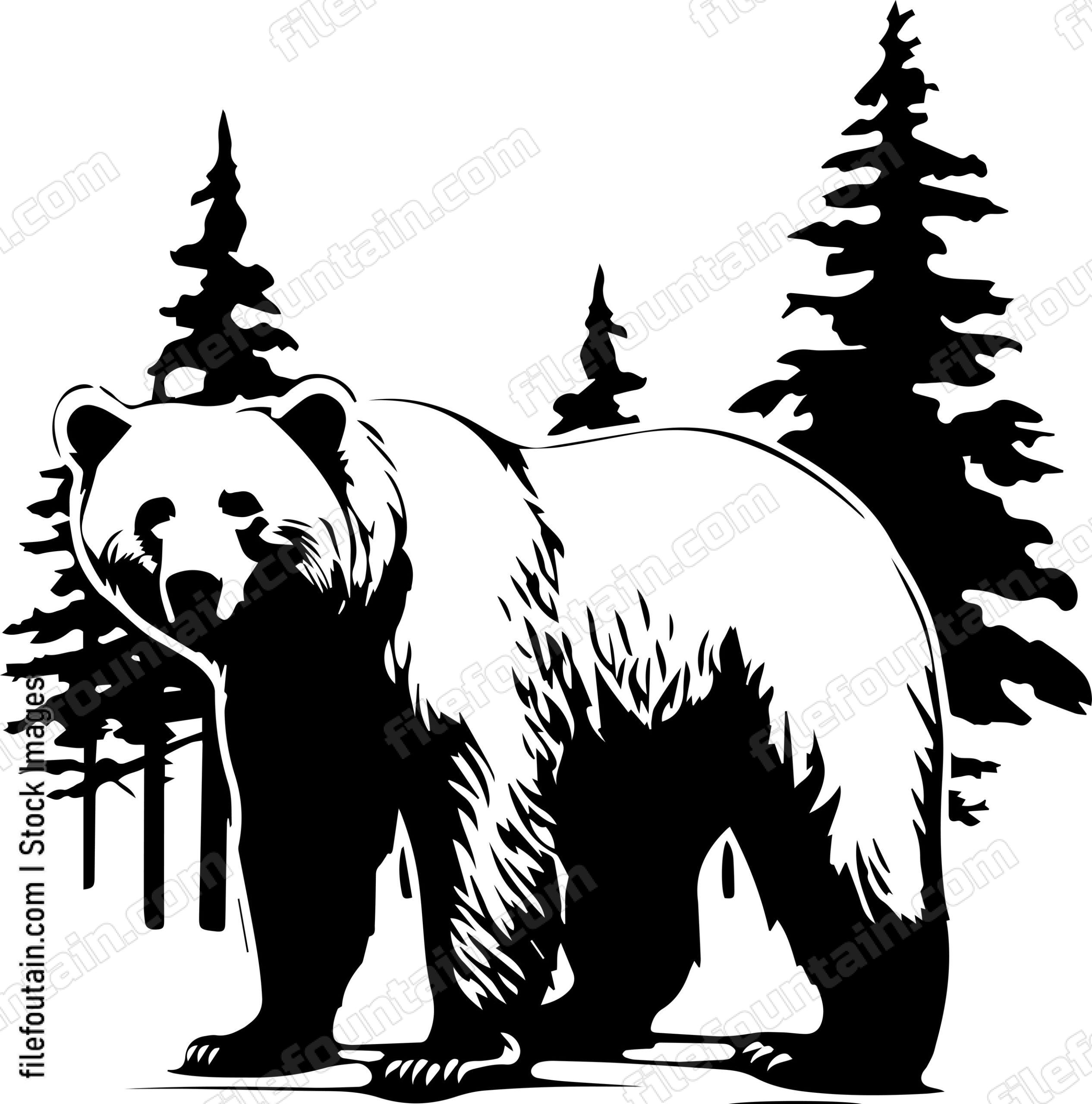 Grizzly Bear In A Forest