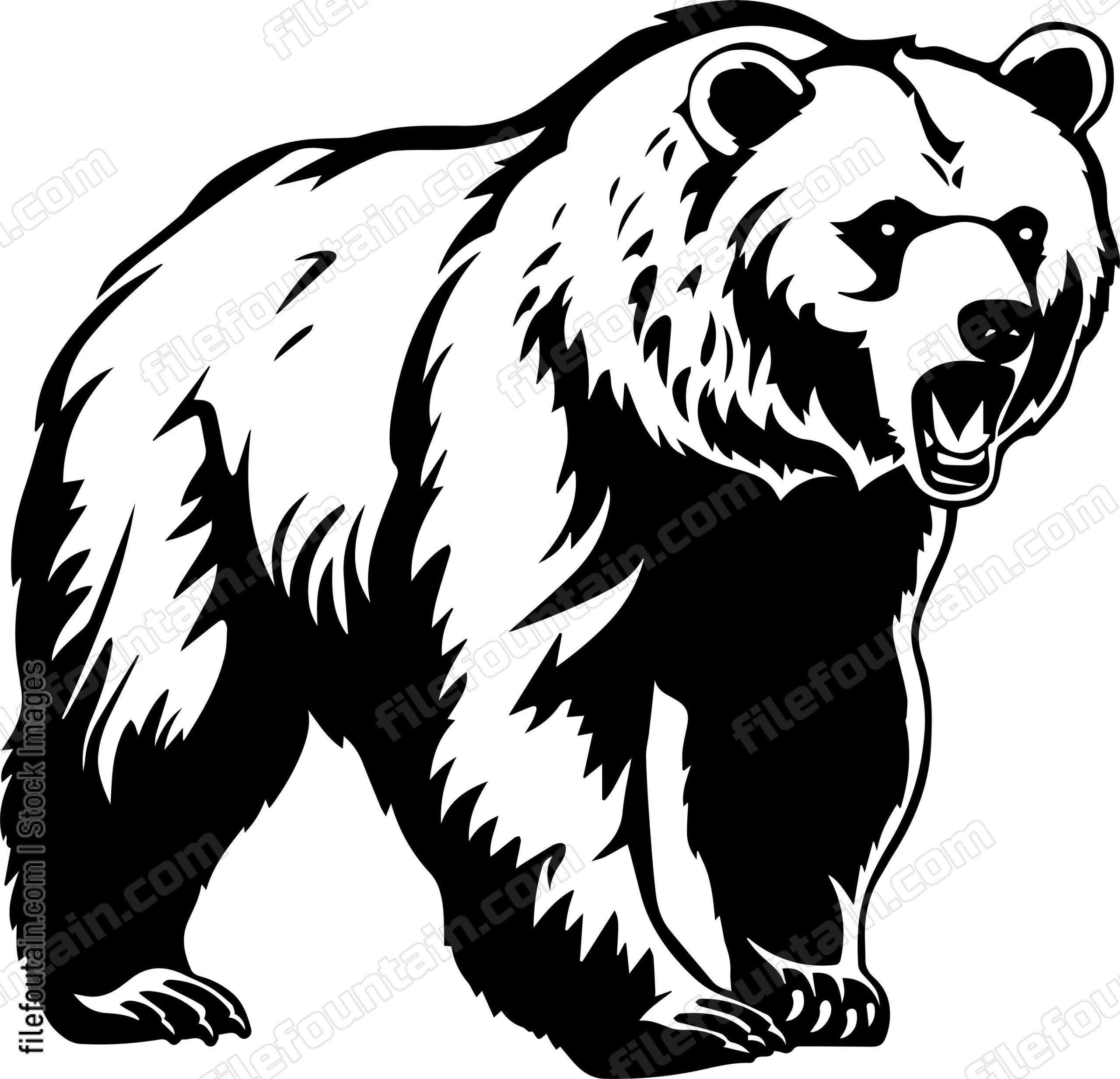 Grizzly Bear