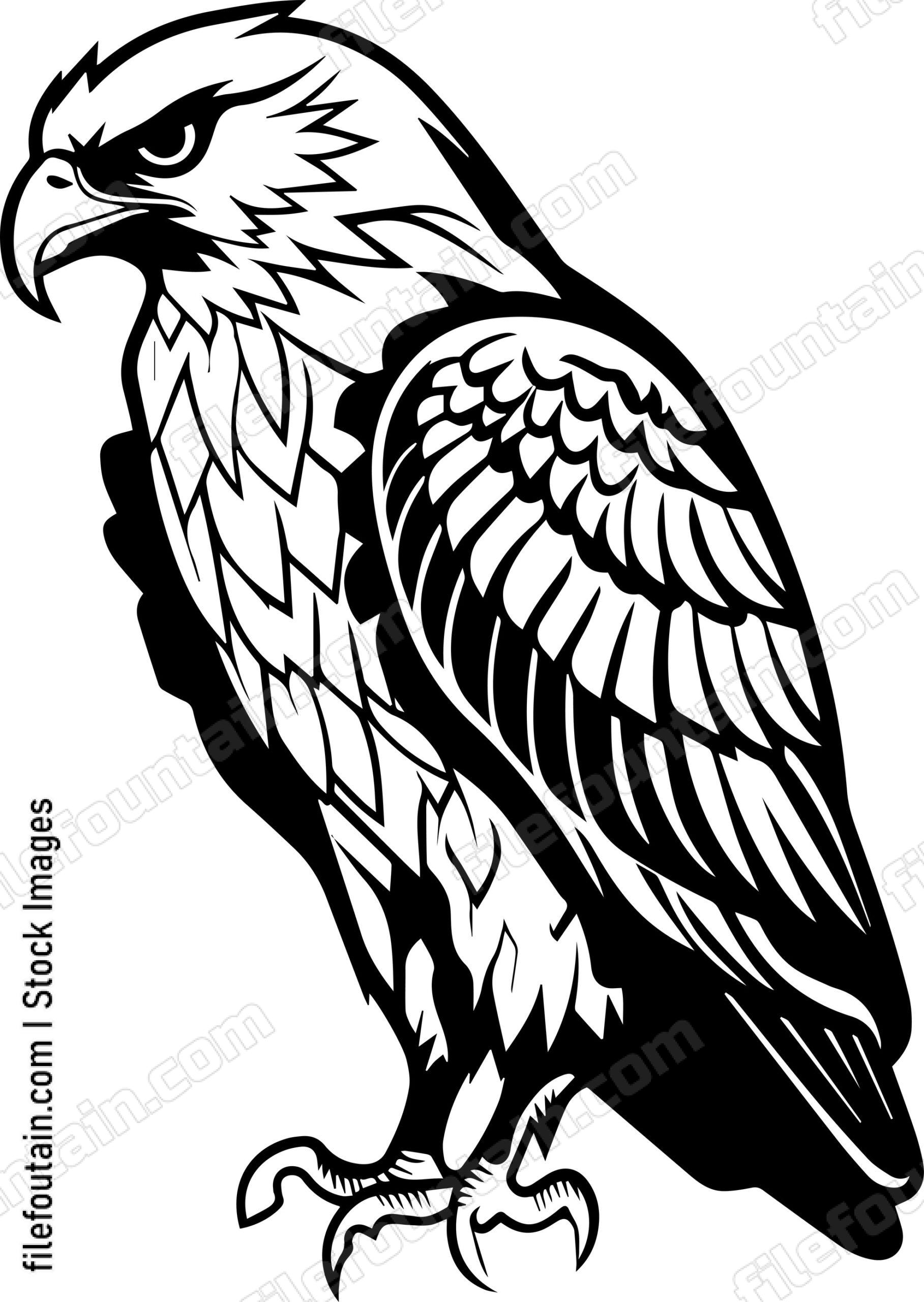 Hawk