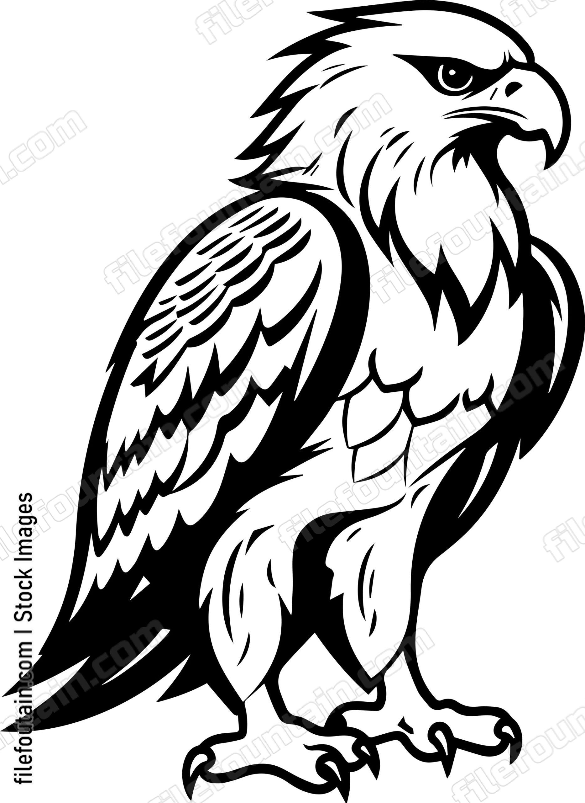 Hawk