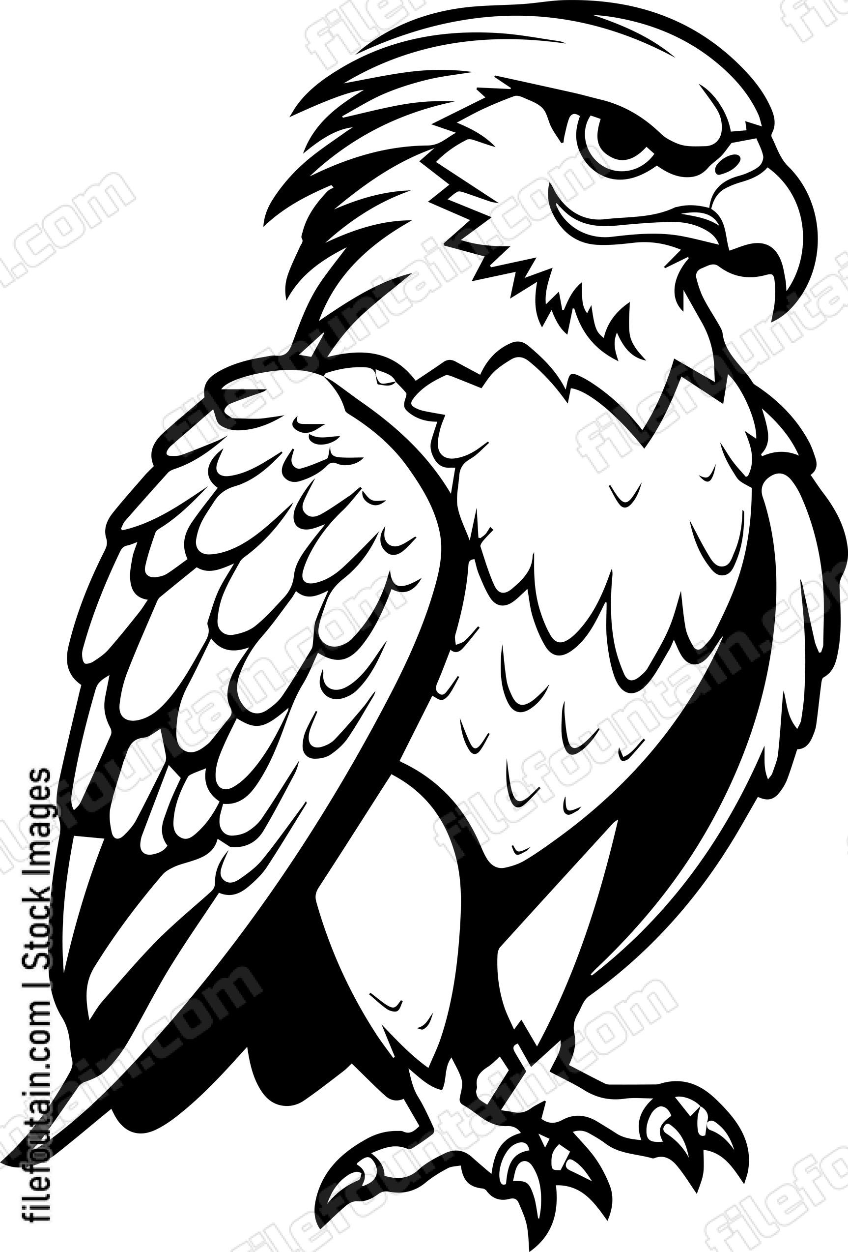Hawk
