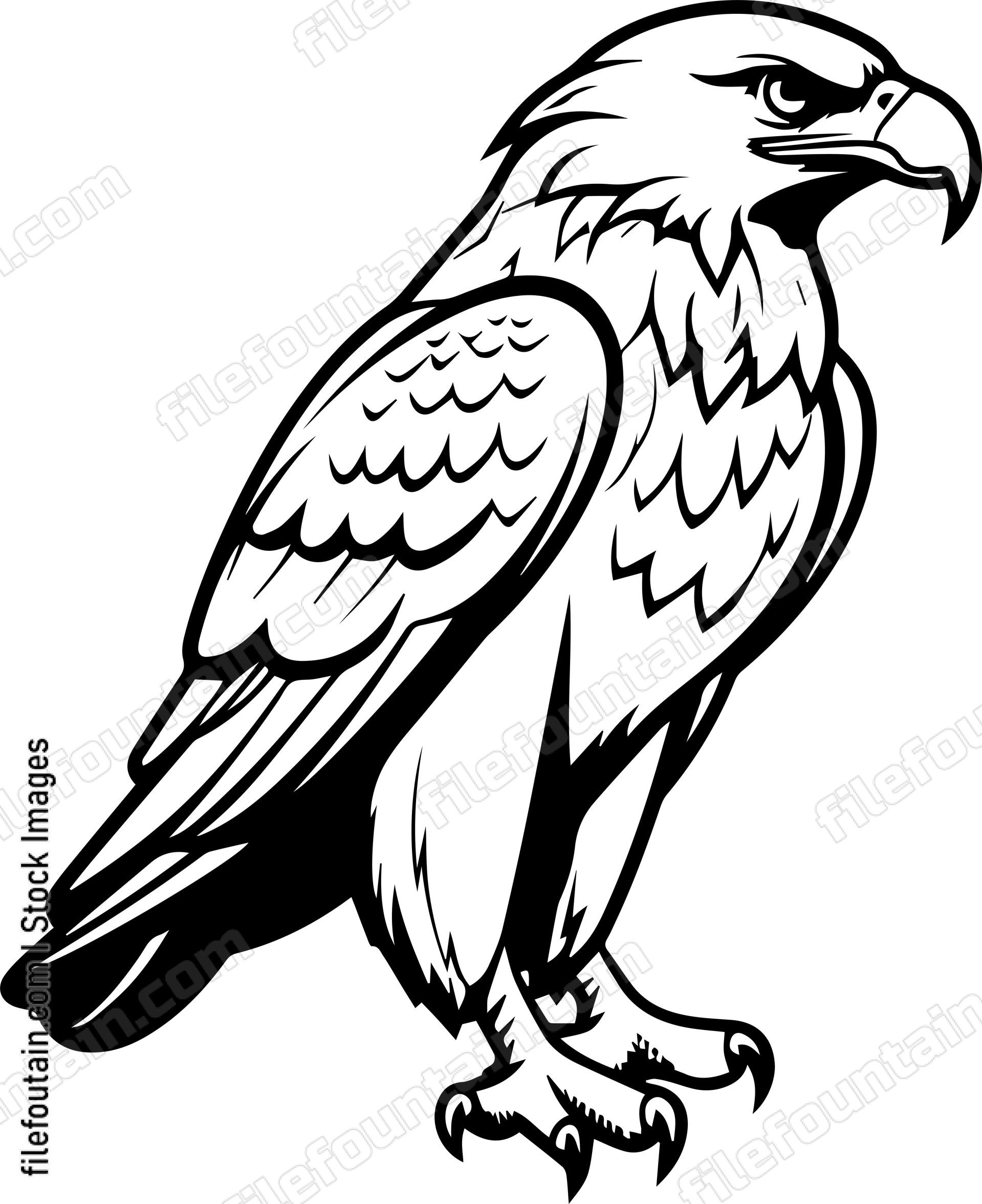Hawk