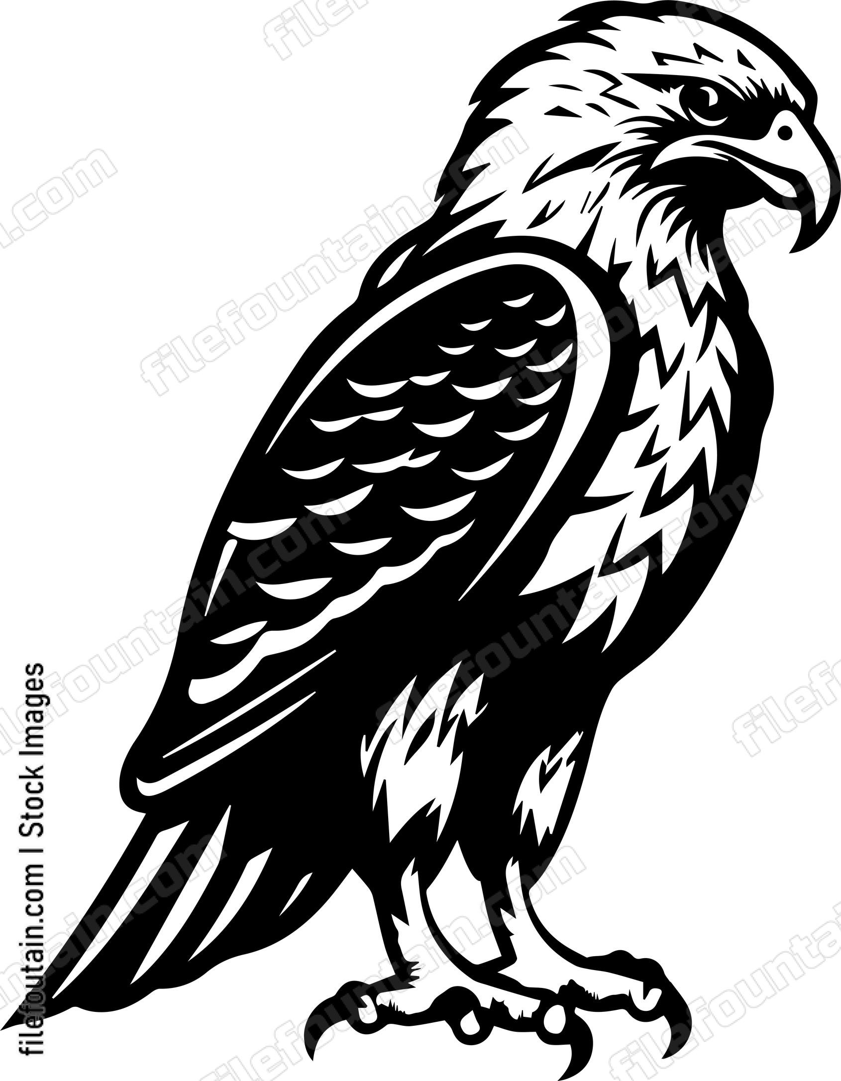 Hawk
