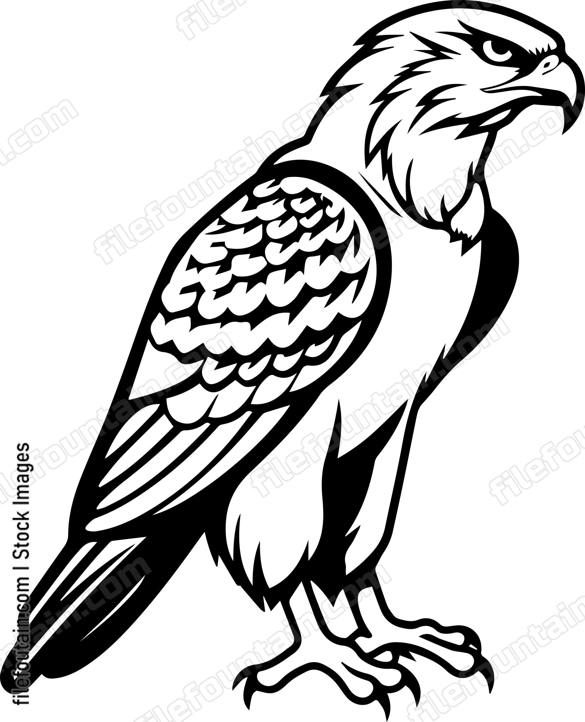 Hawk