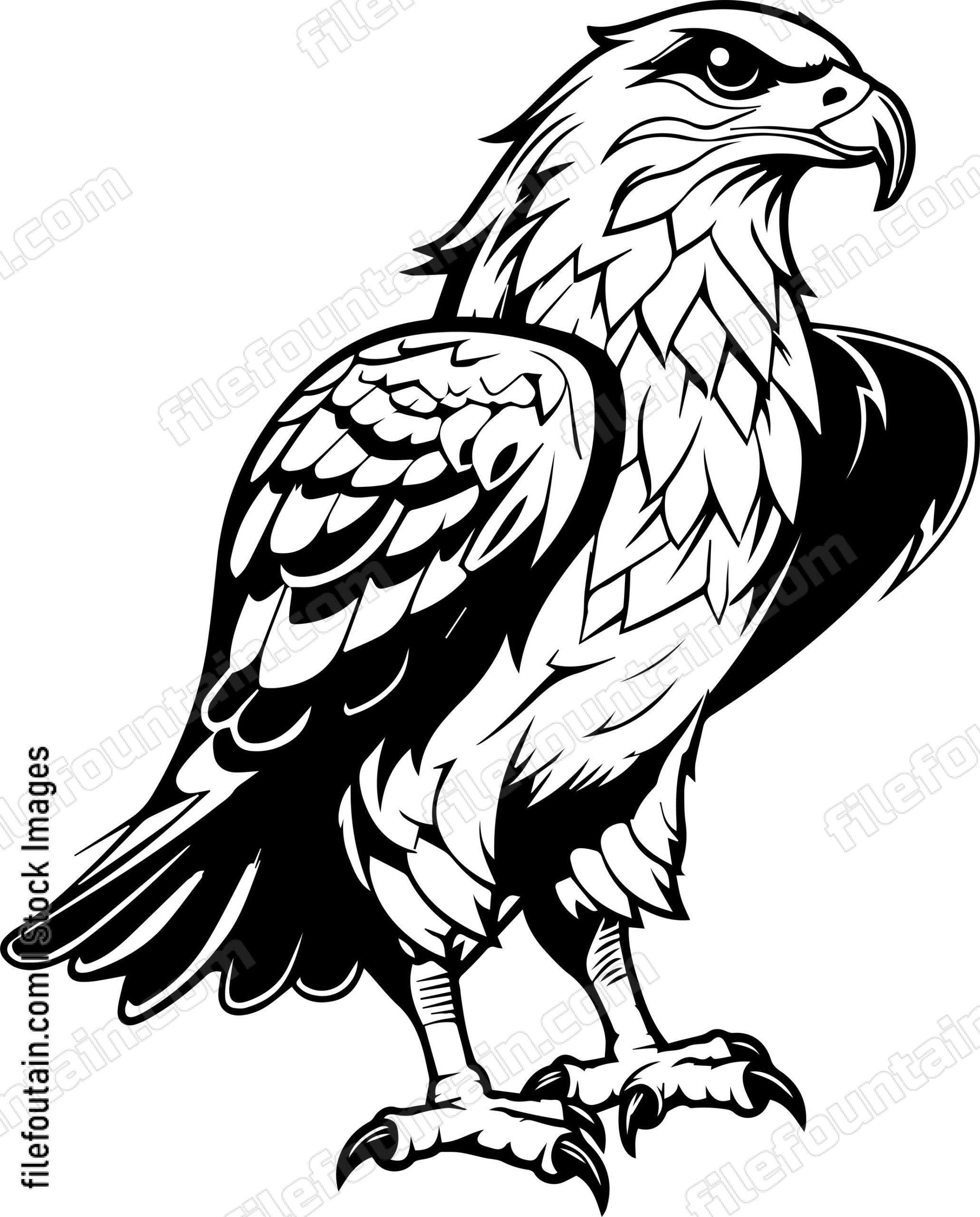Hawk