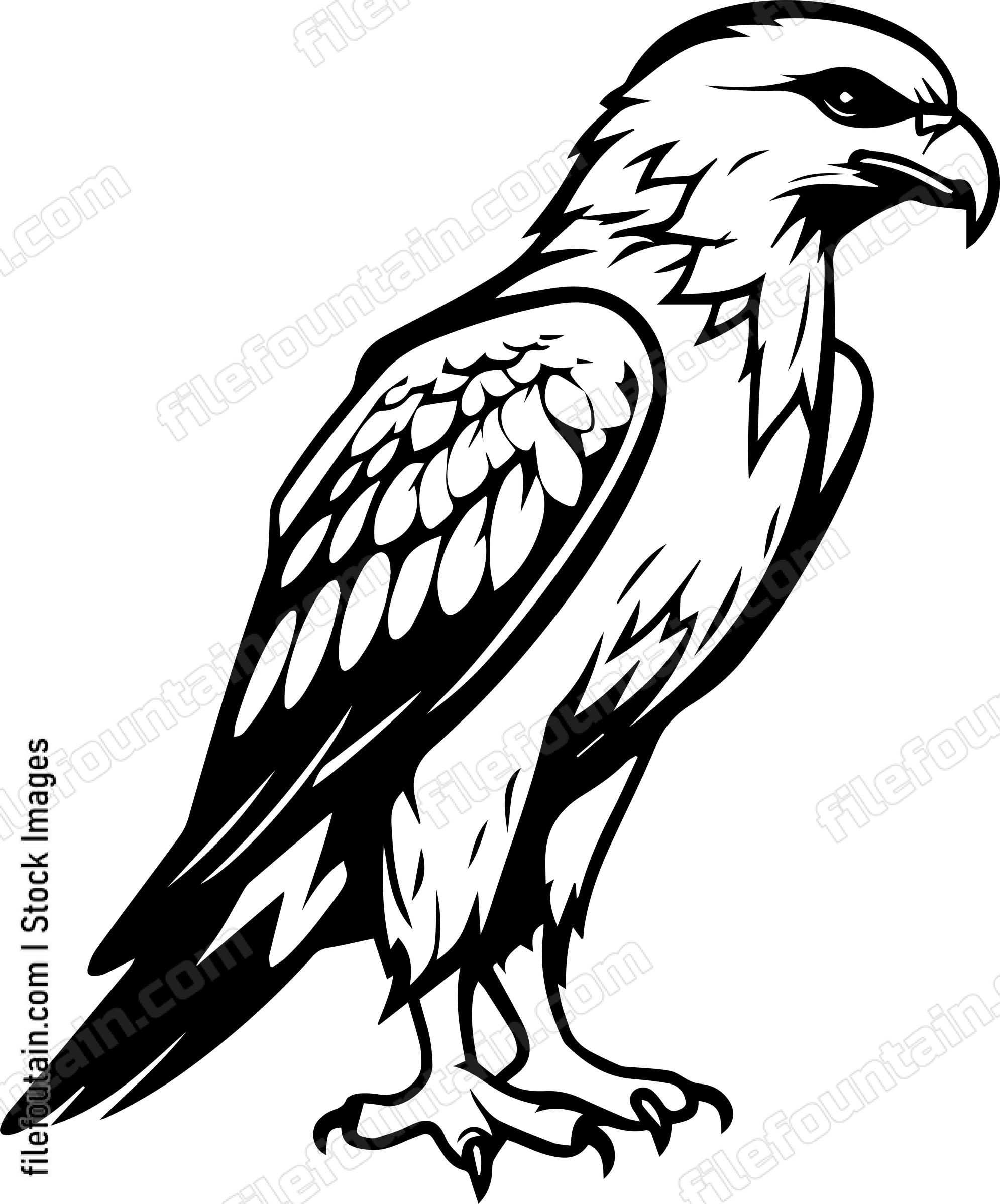 Hawk