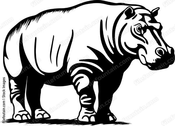 Hippo