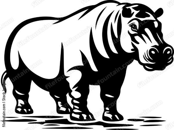 Hippo