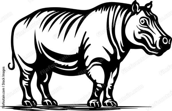 Hippo