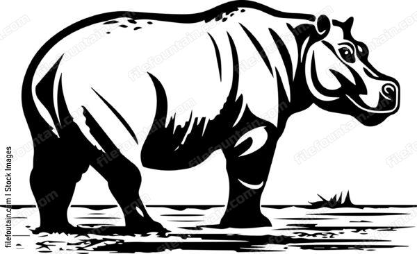 Hippo