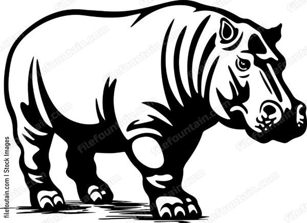 Hippo