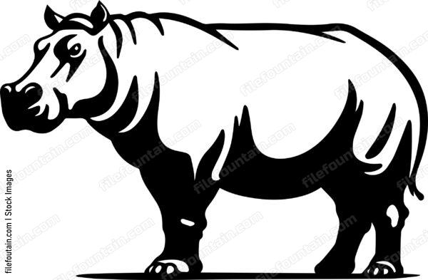 Hippo