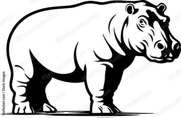 Hippo